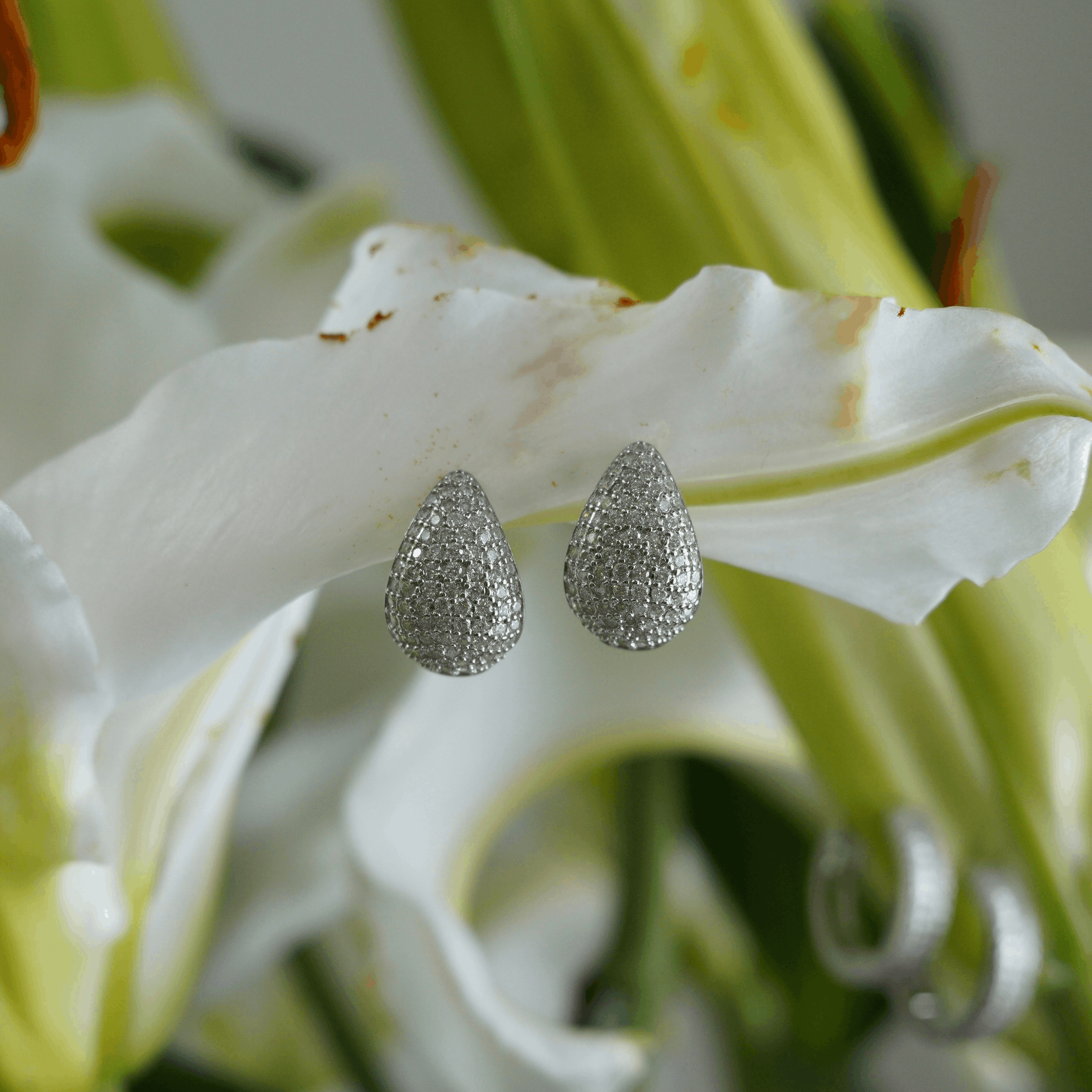 Lucine Earrings