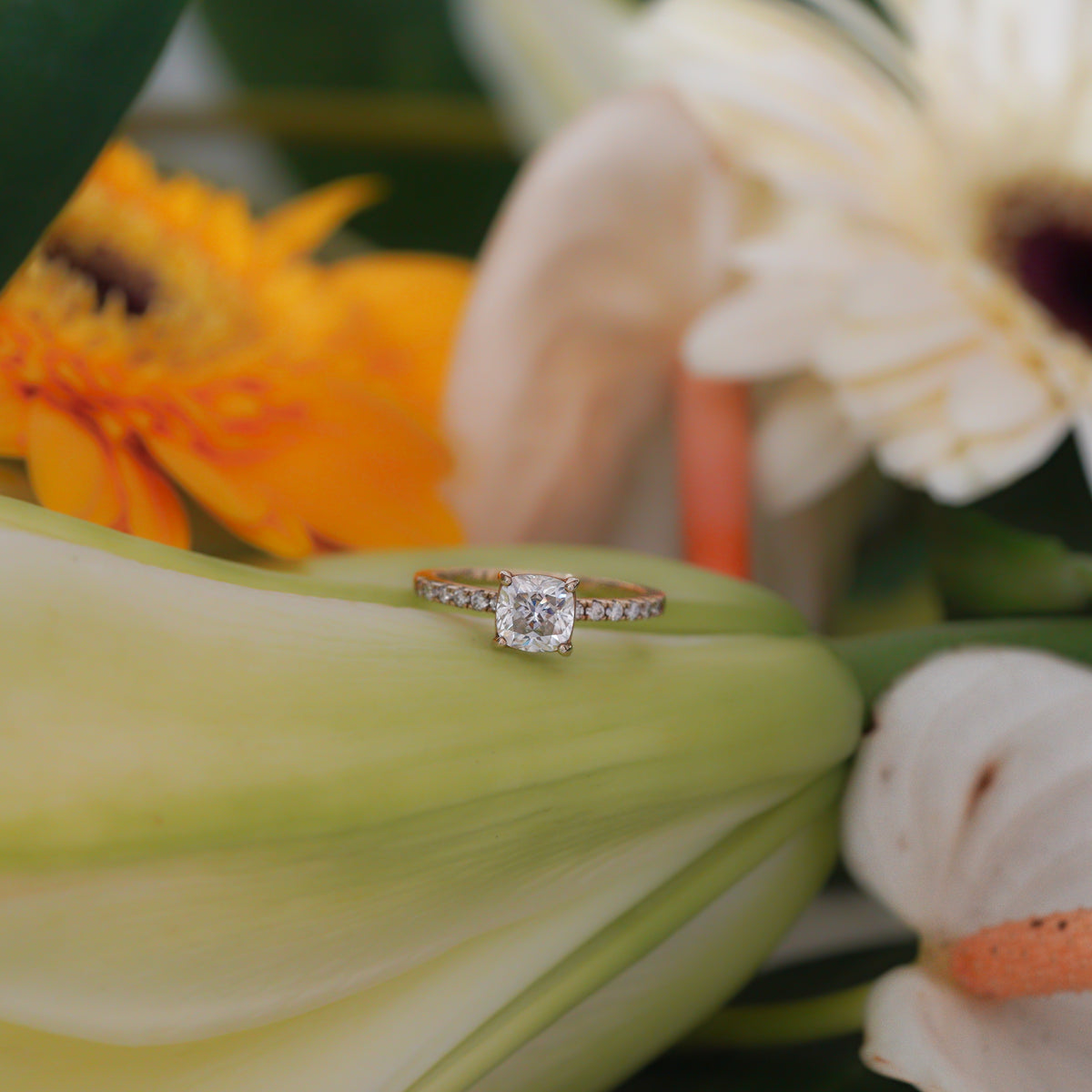 Cushion Pavé Ring