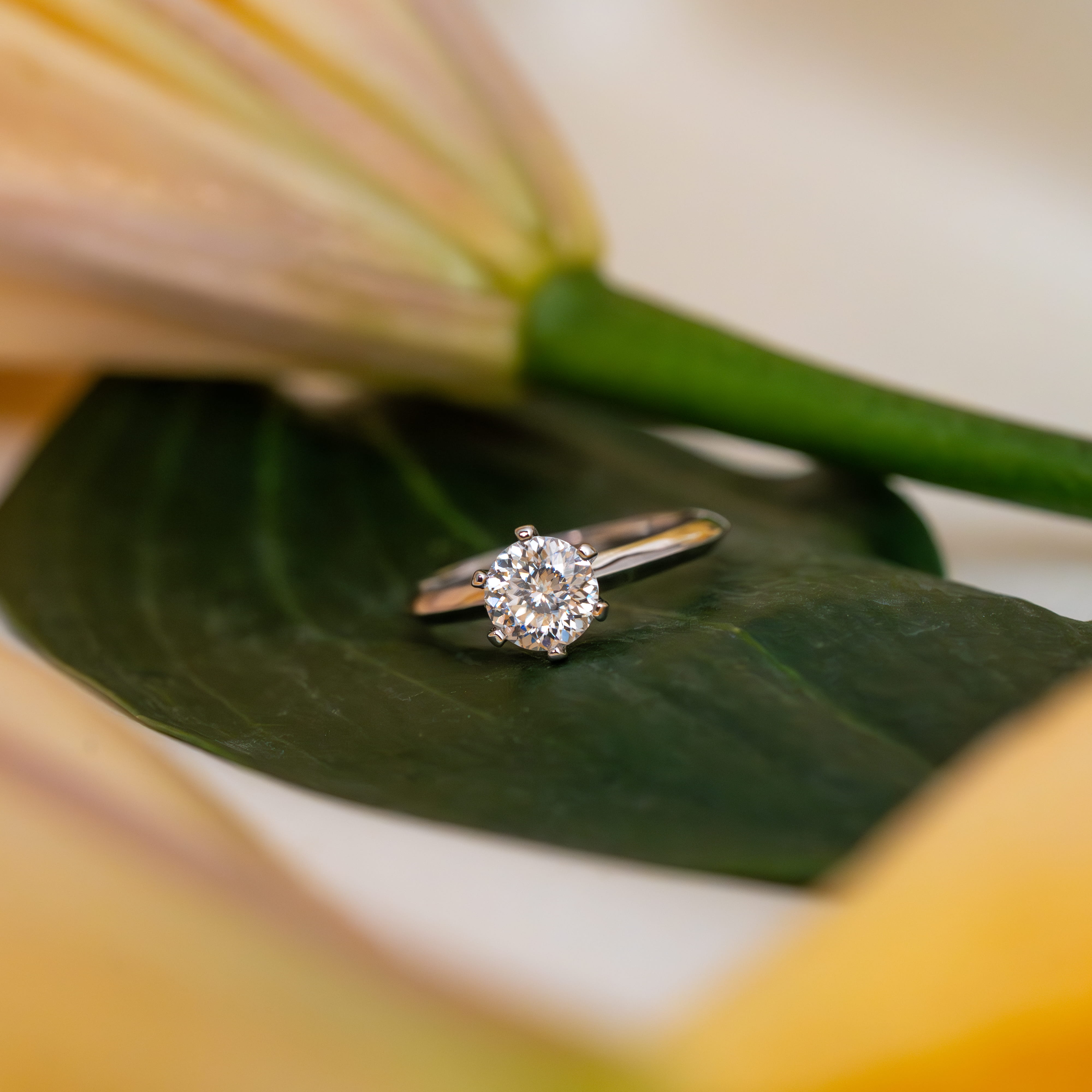 Clementine Solitaire Ring (100-Flowers)