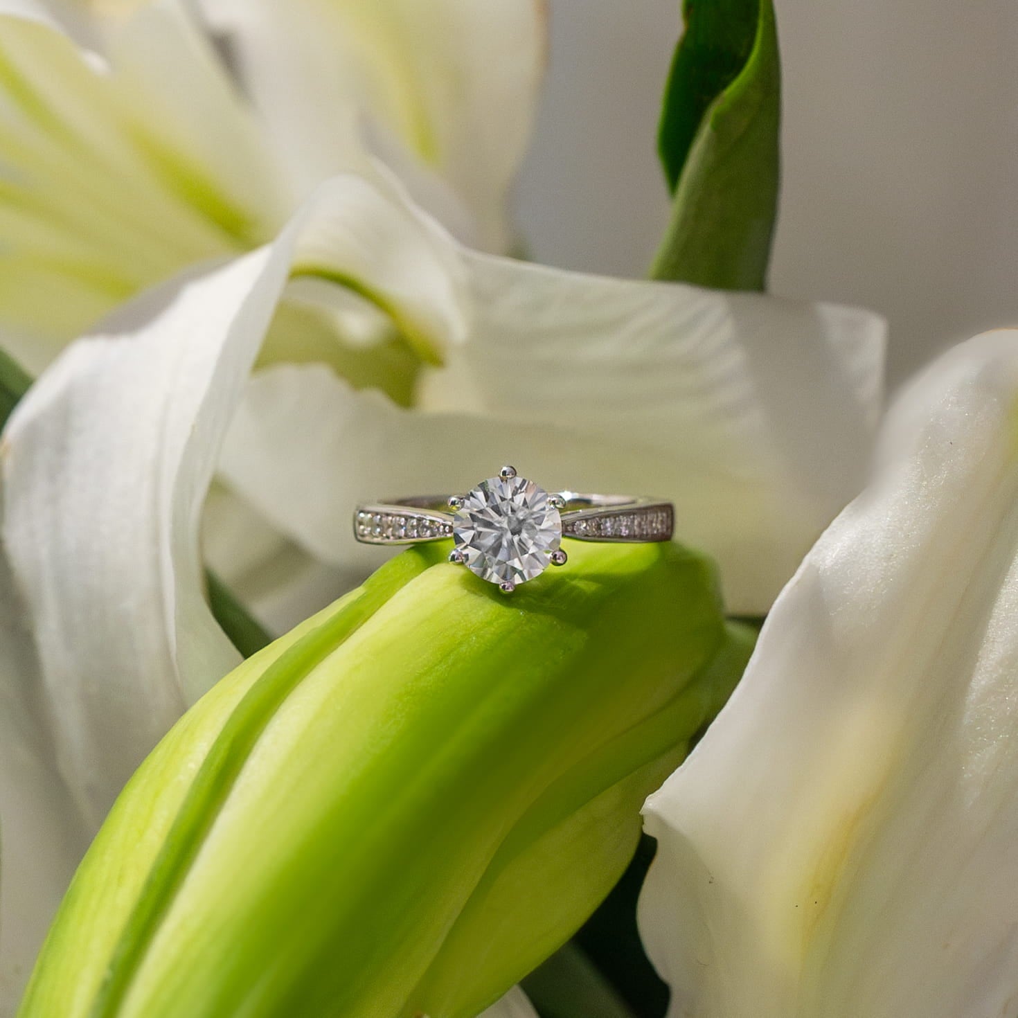Aveline Cathedral Pavé Ring