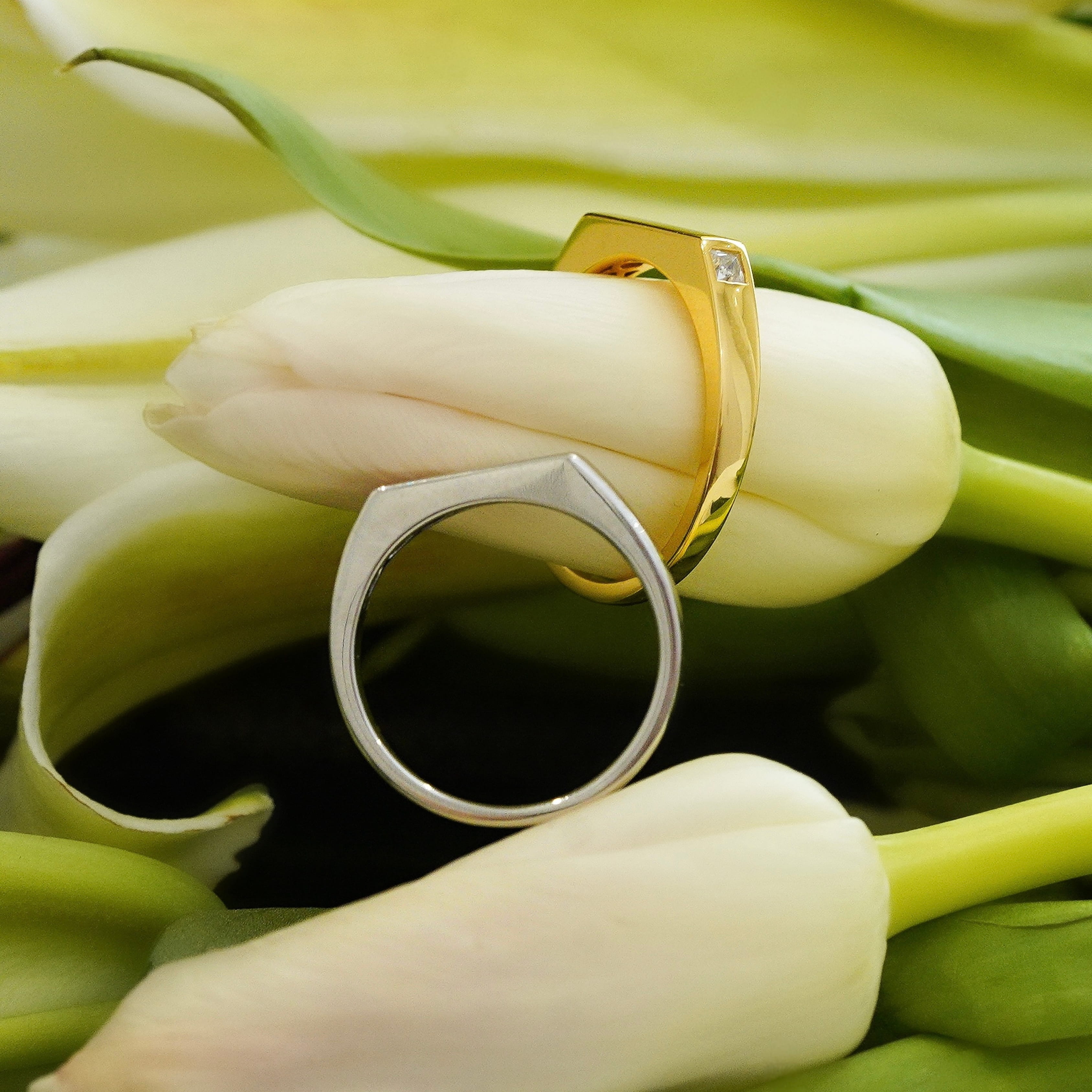 Davian Men's Promise Ring