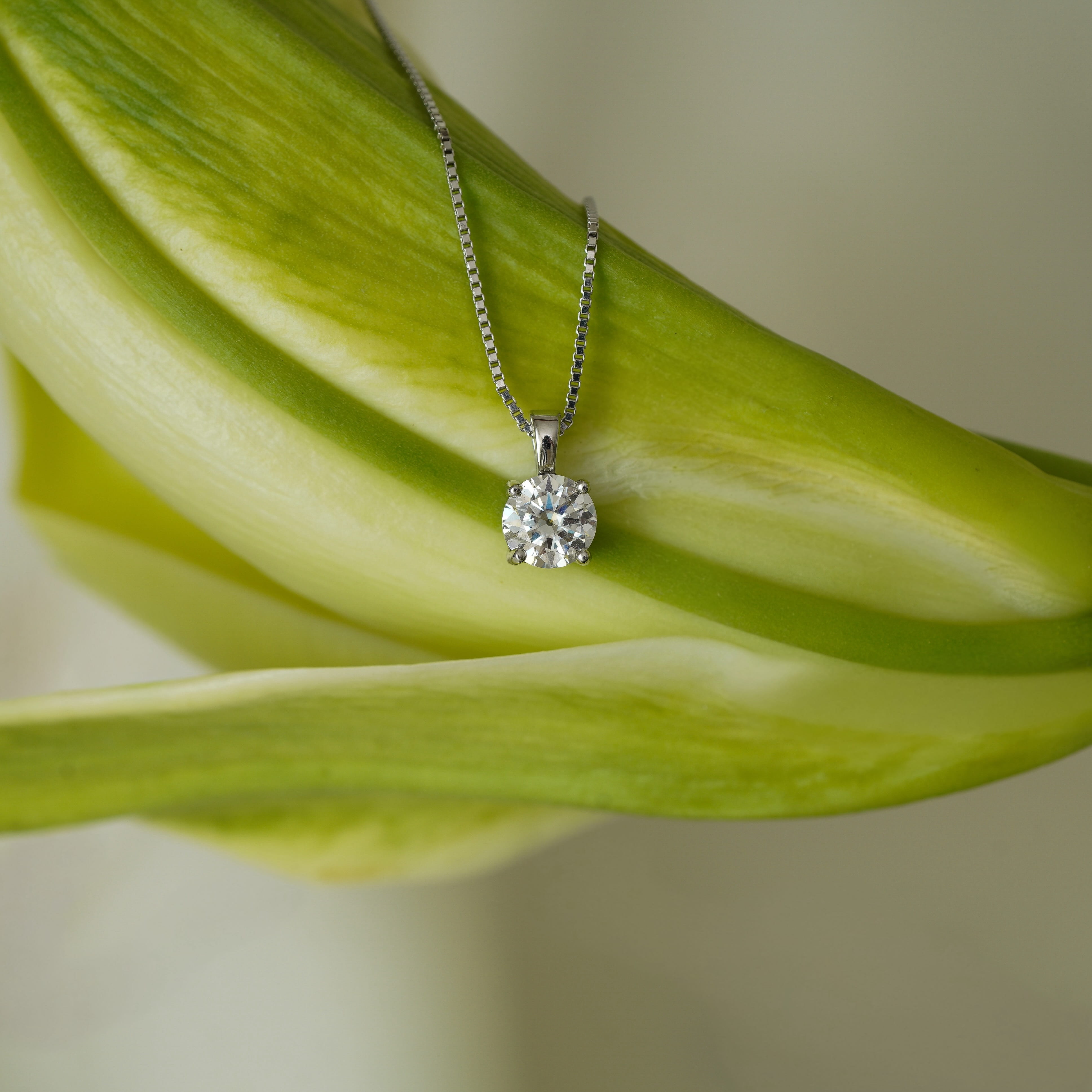 Asteria Classic Necklace