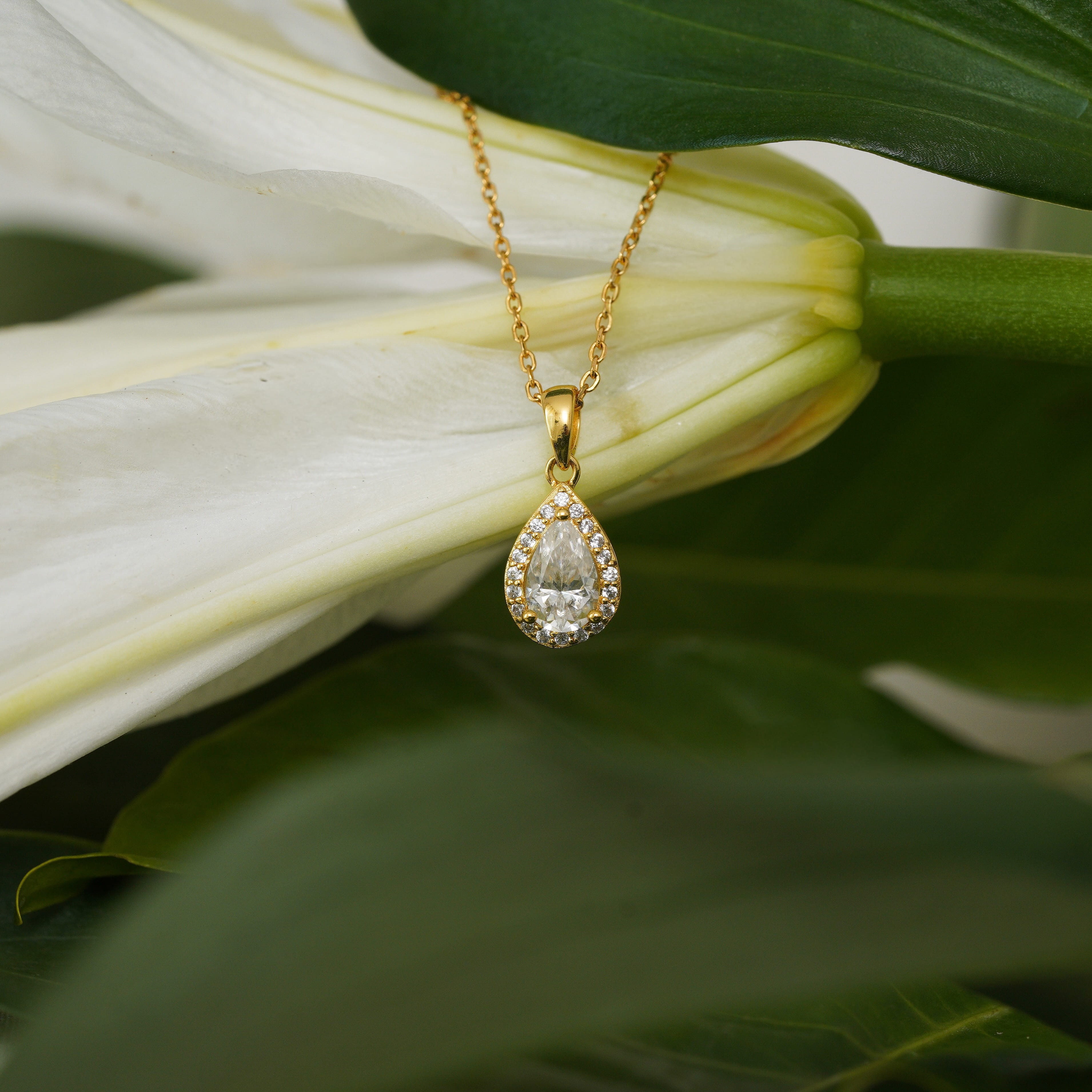Talia Pear Halo Necklace