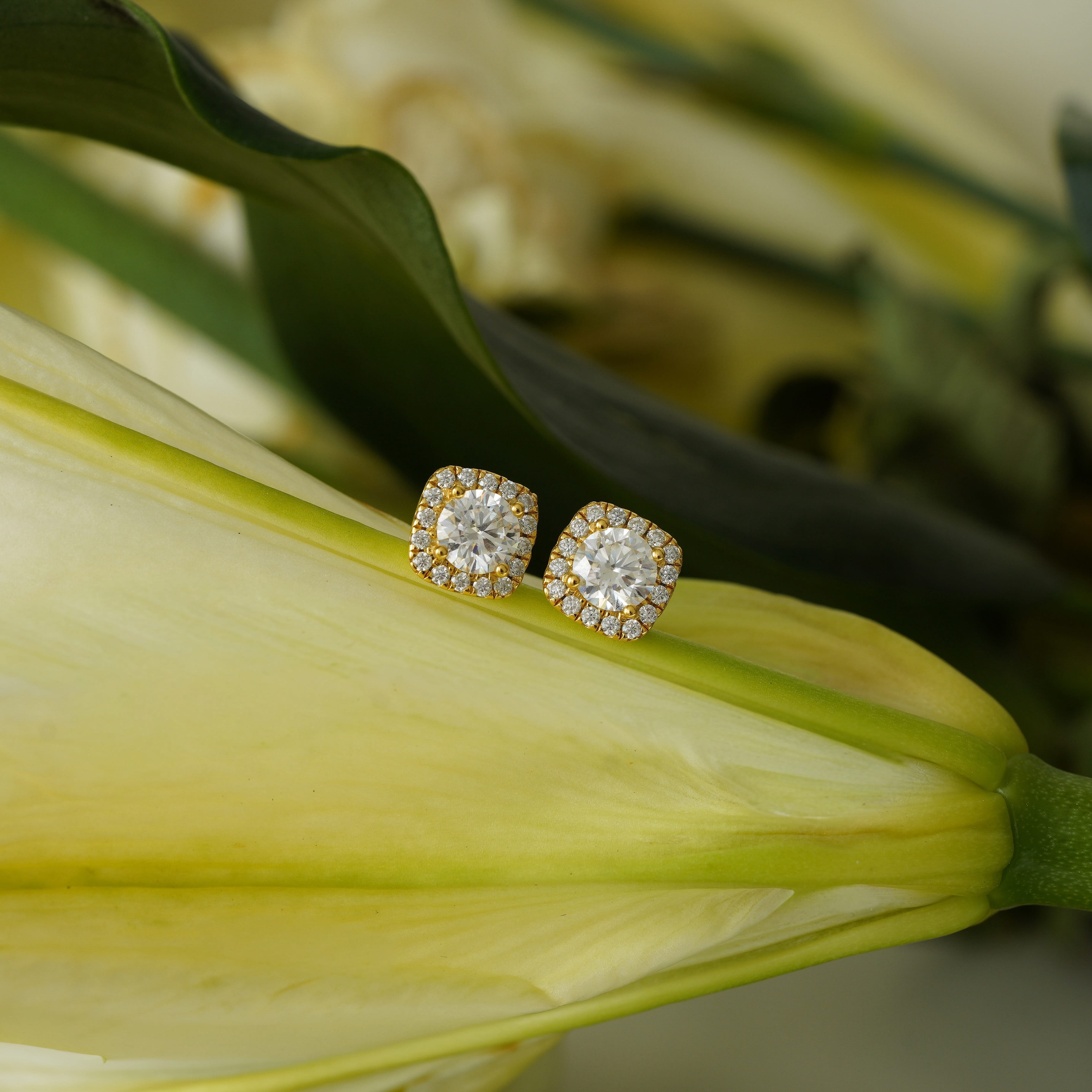 Round Halo Stud Earrings