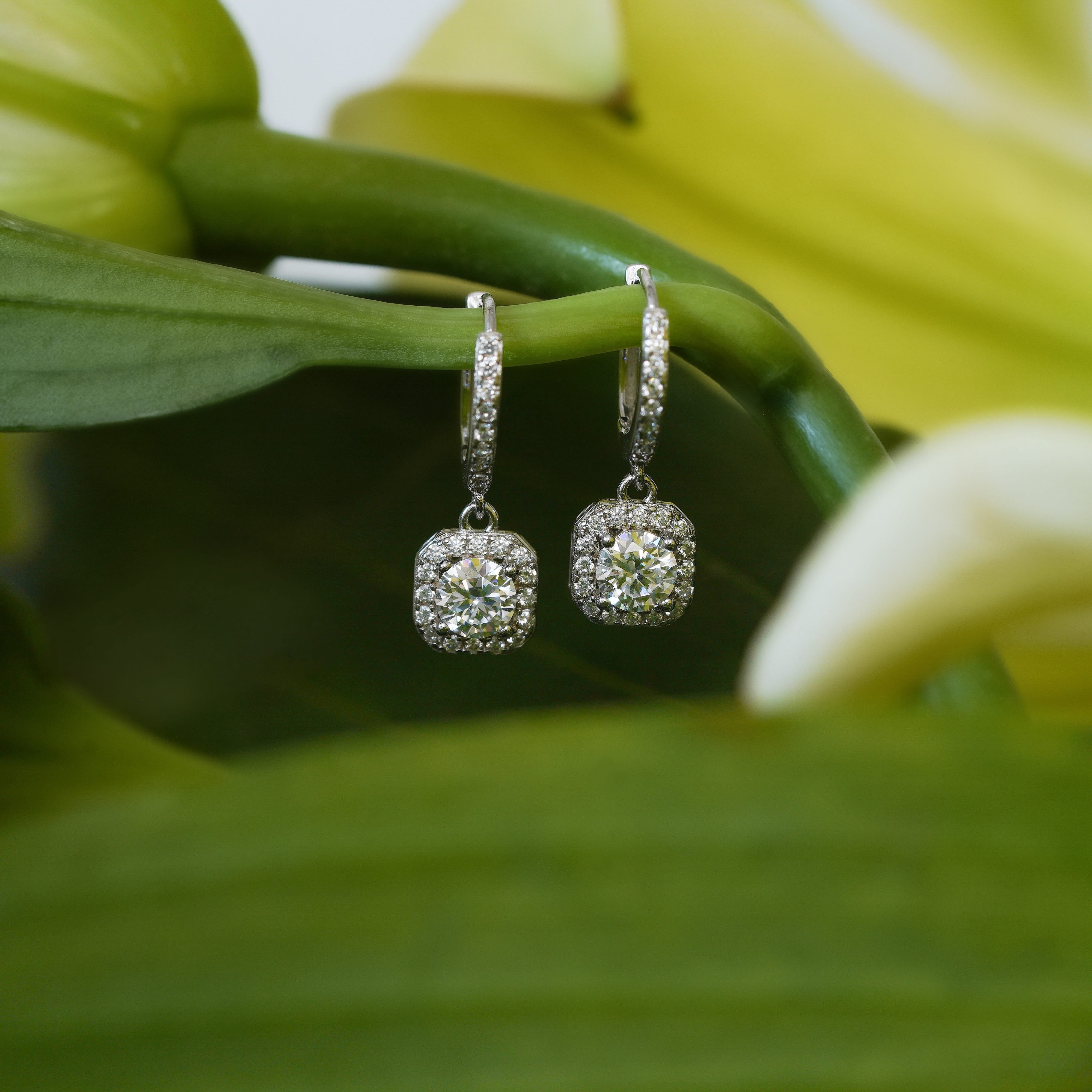Vela Dangling Earrings