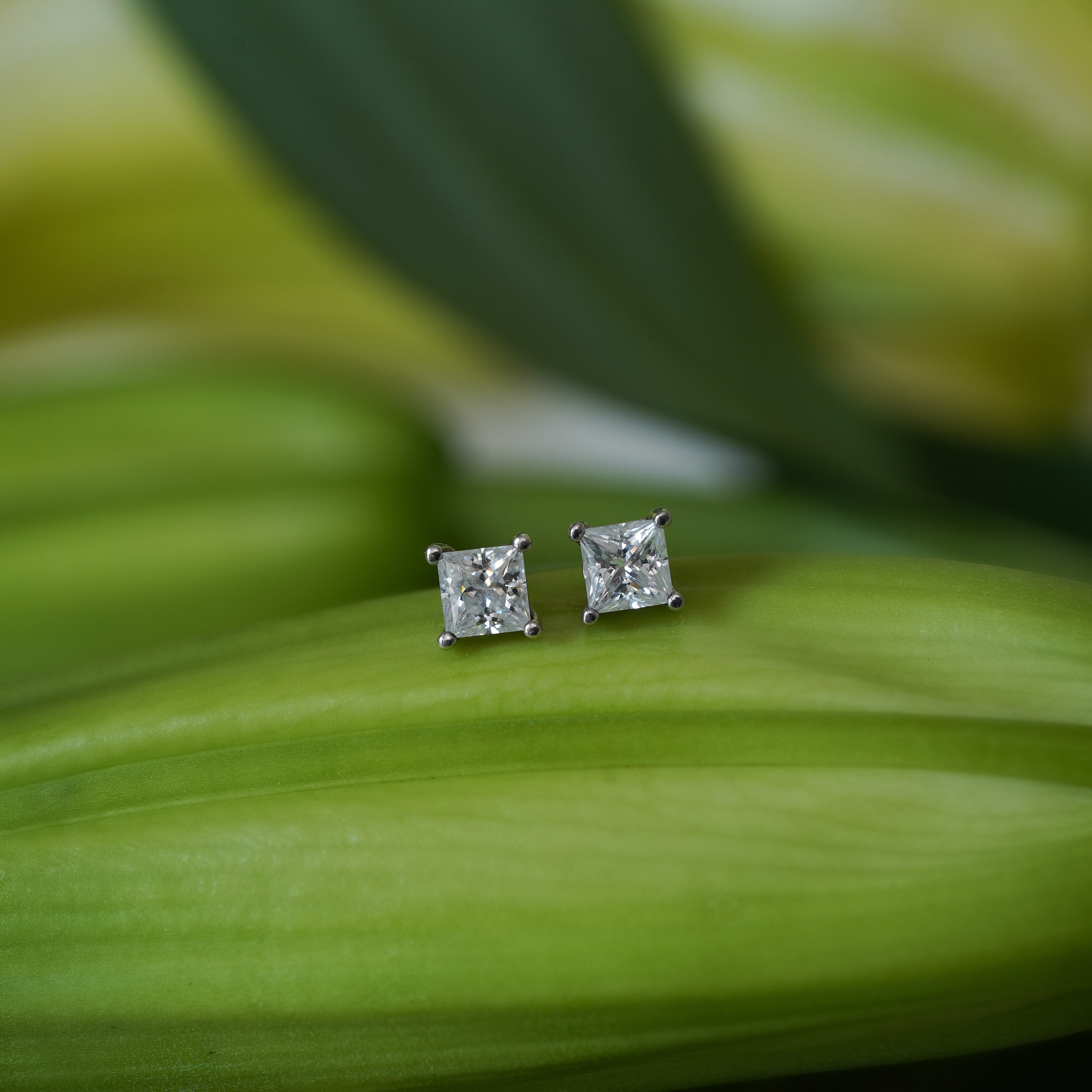 Aurora Classic Stud Earrings