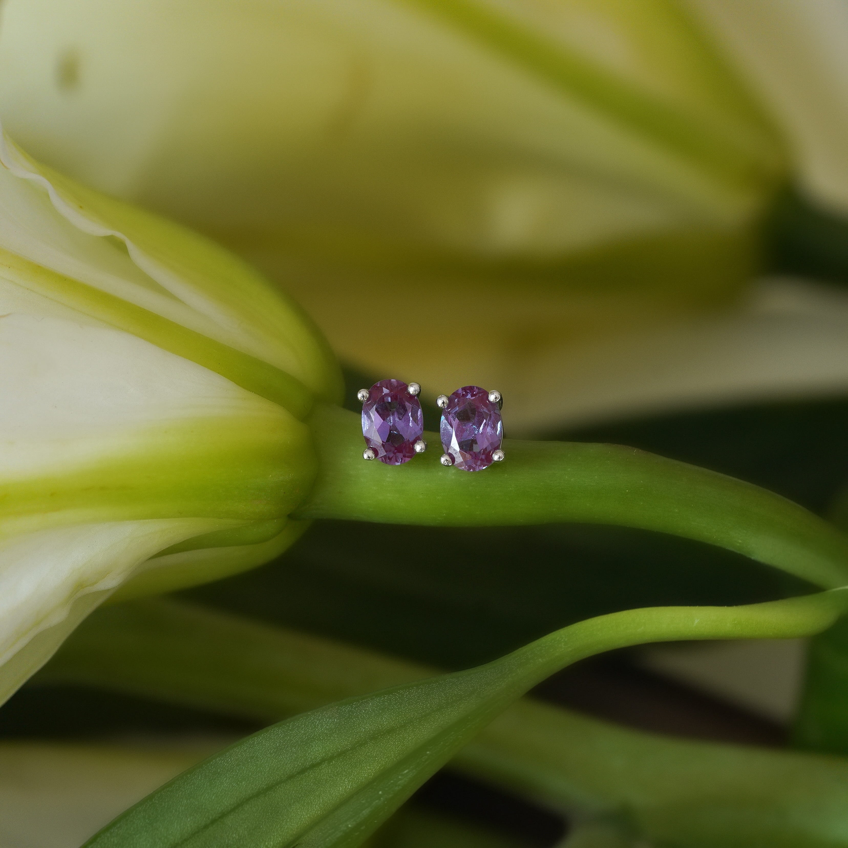 Ora Stud Earrings (Alexandrite)