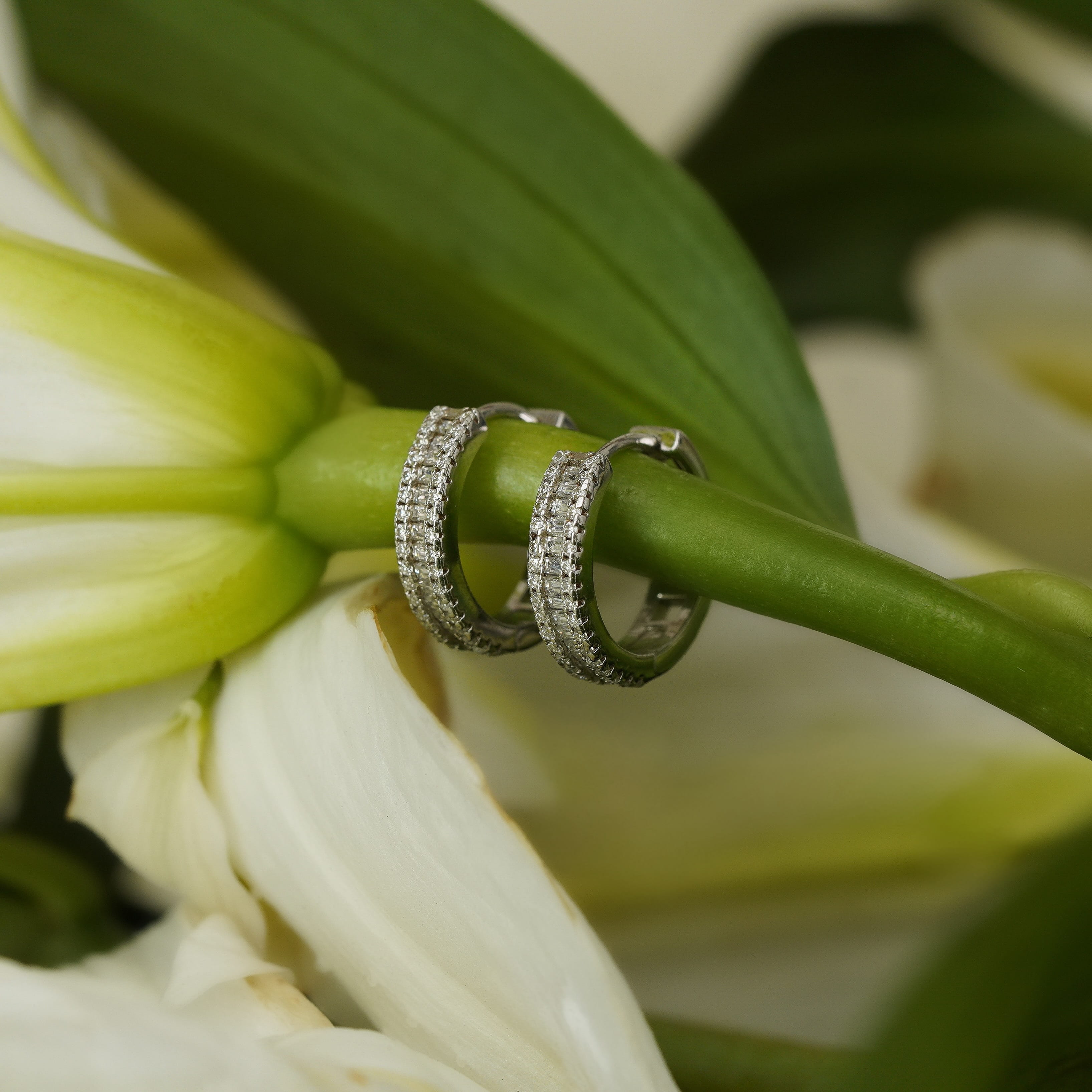 Aurelia Hoop Earrings