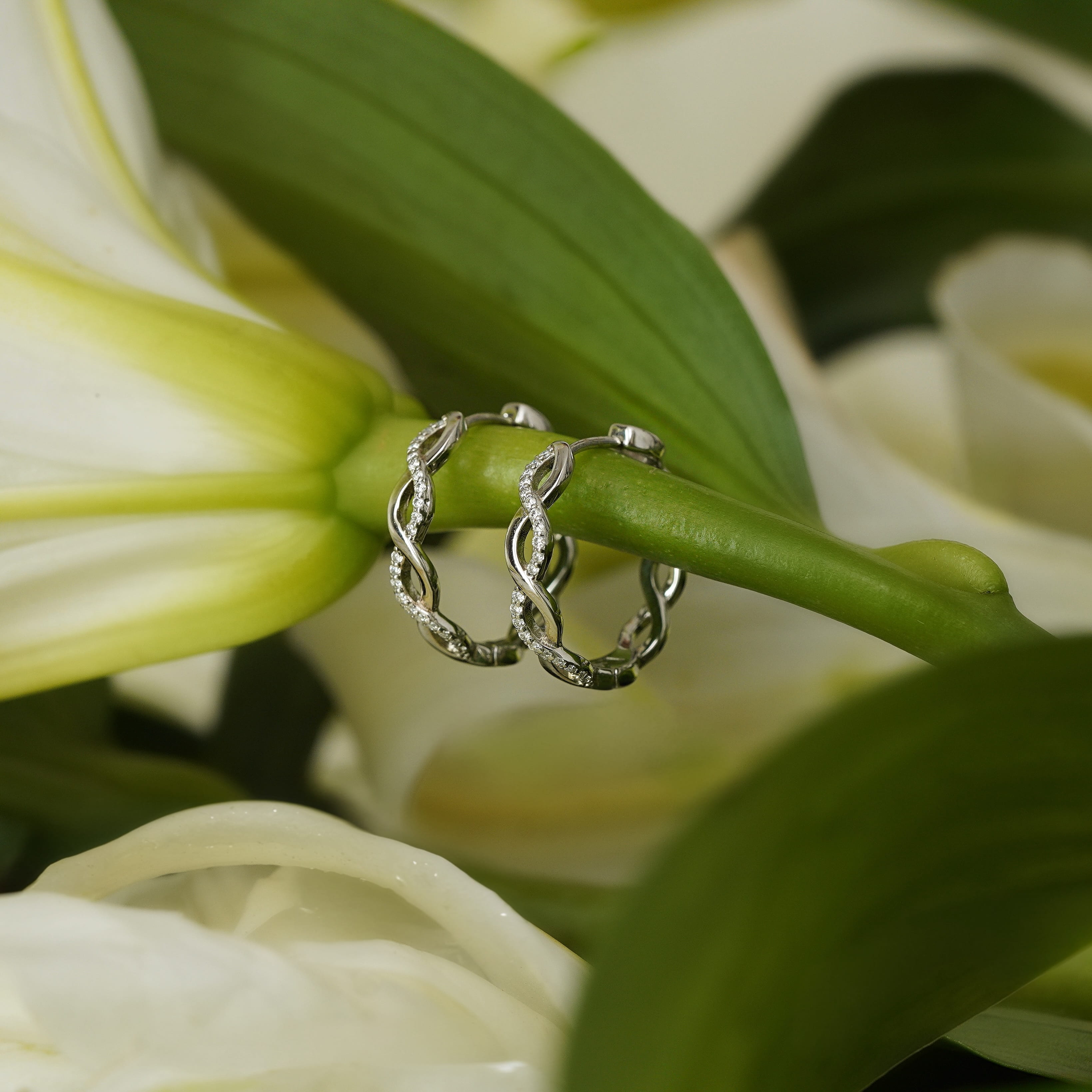 Carina Hoop Earrings