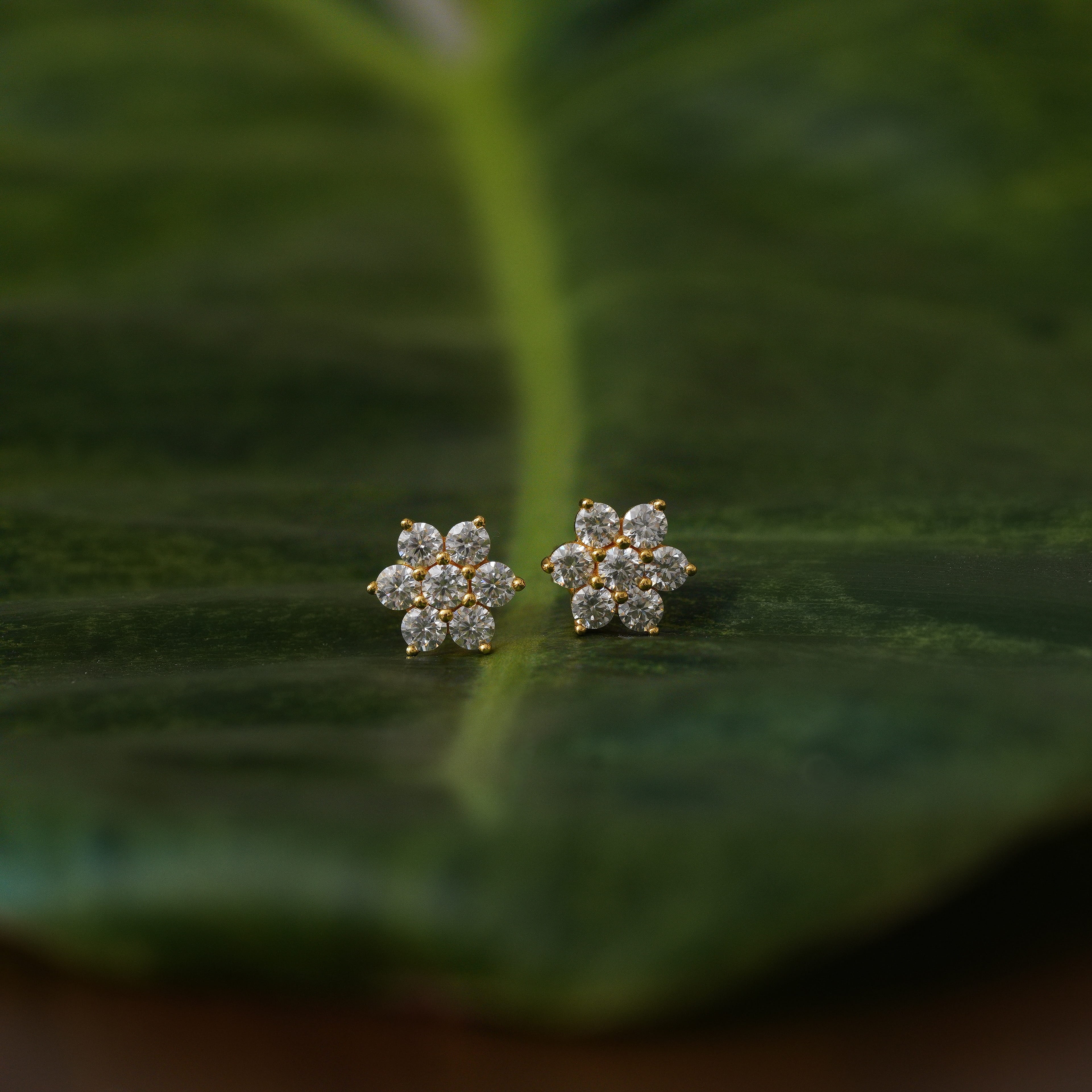Tala Rositas Earrings