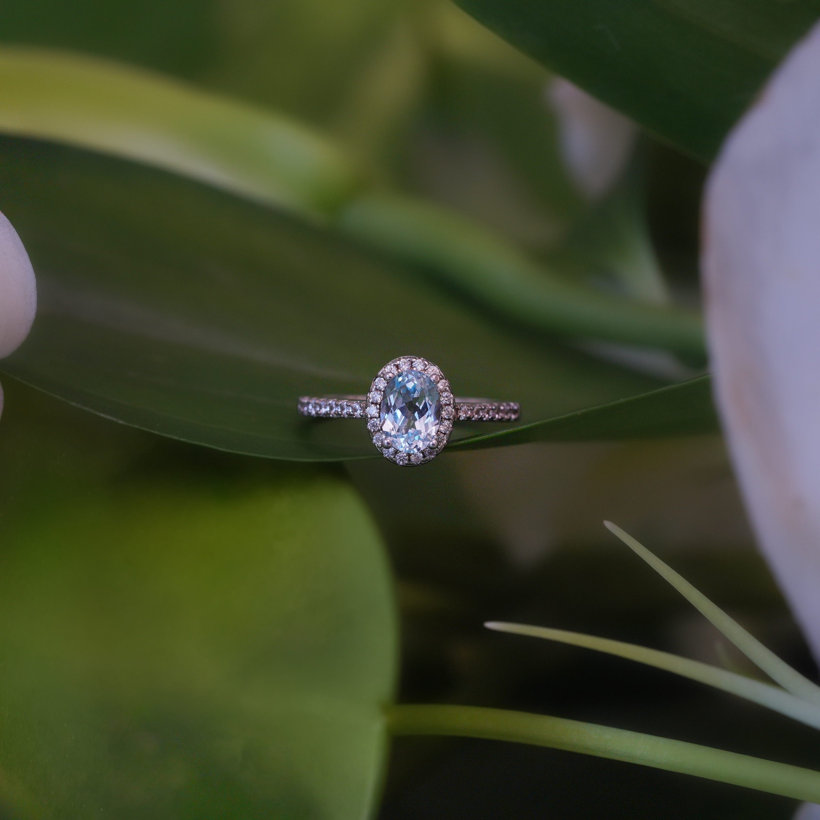 Isla Halo Pavé Ring (Aquamarine)