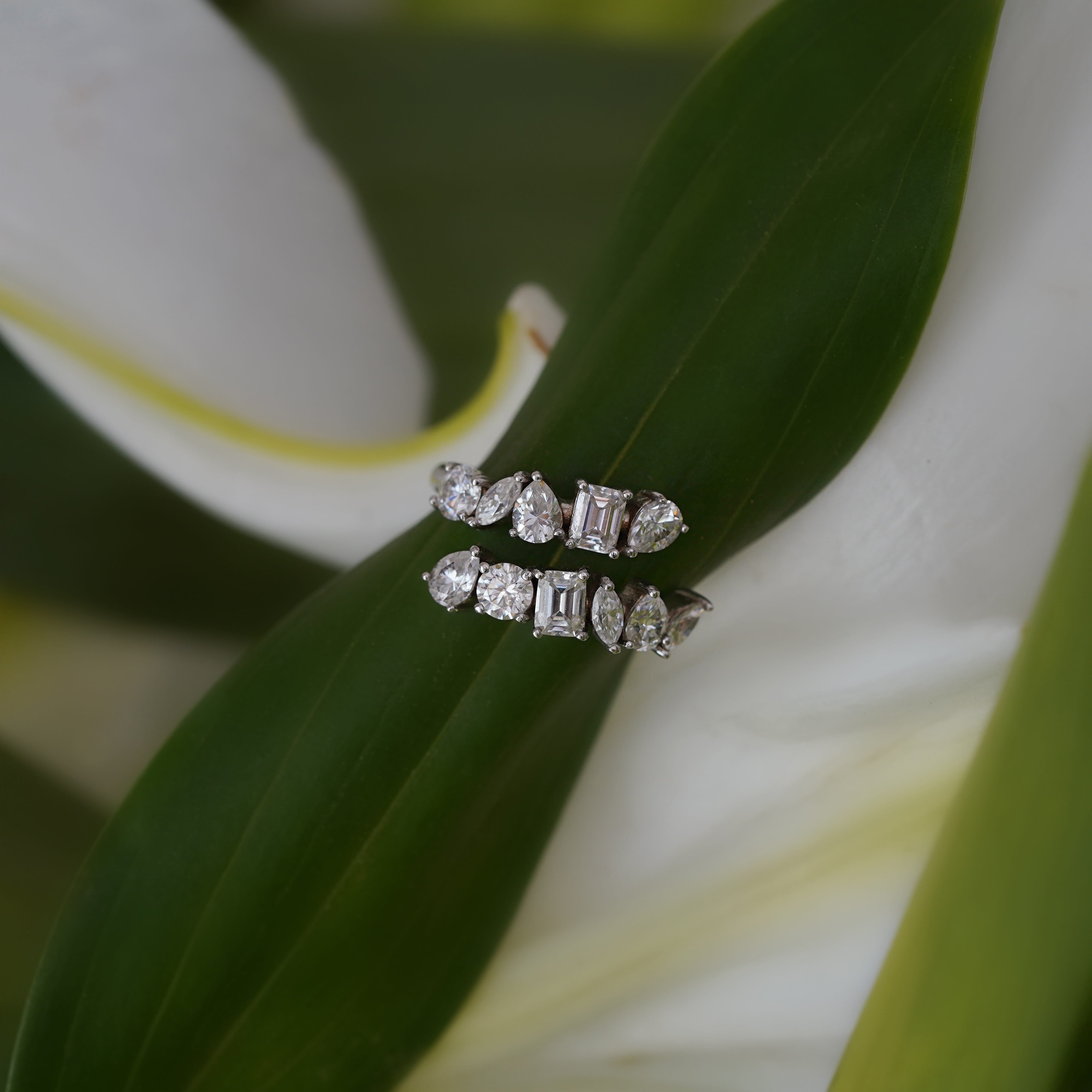 Gaia Cluster Ring