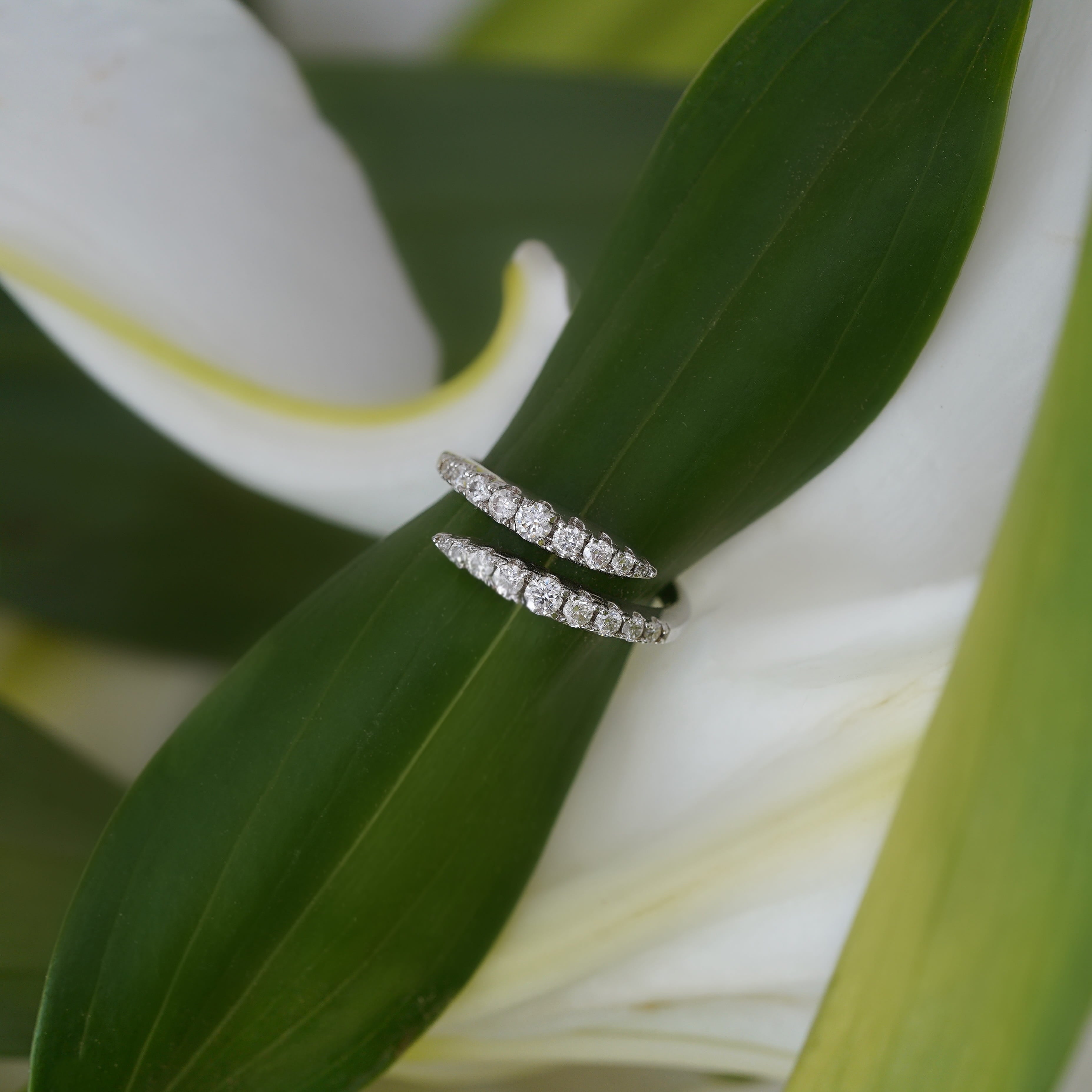 Serpens Double Row Ring