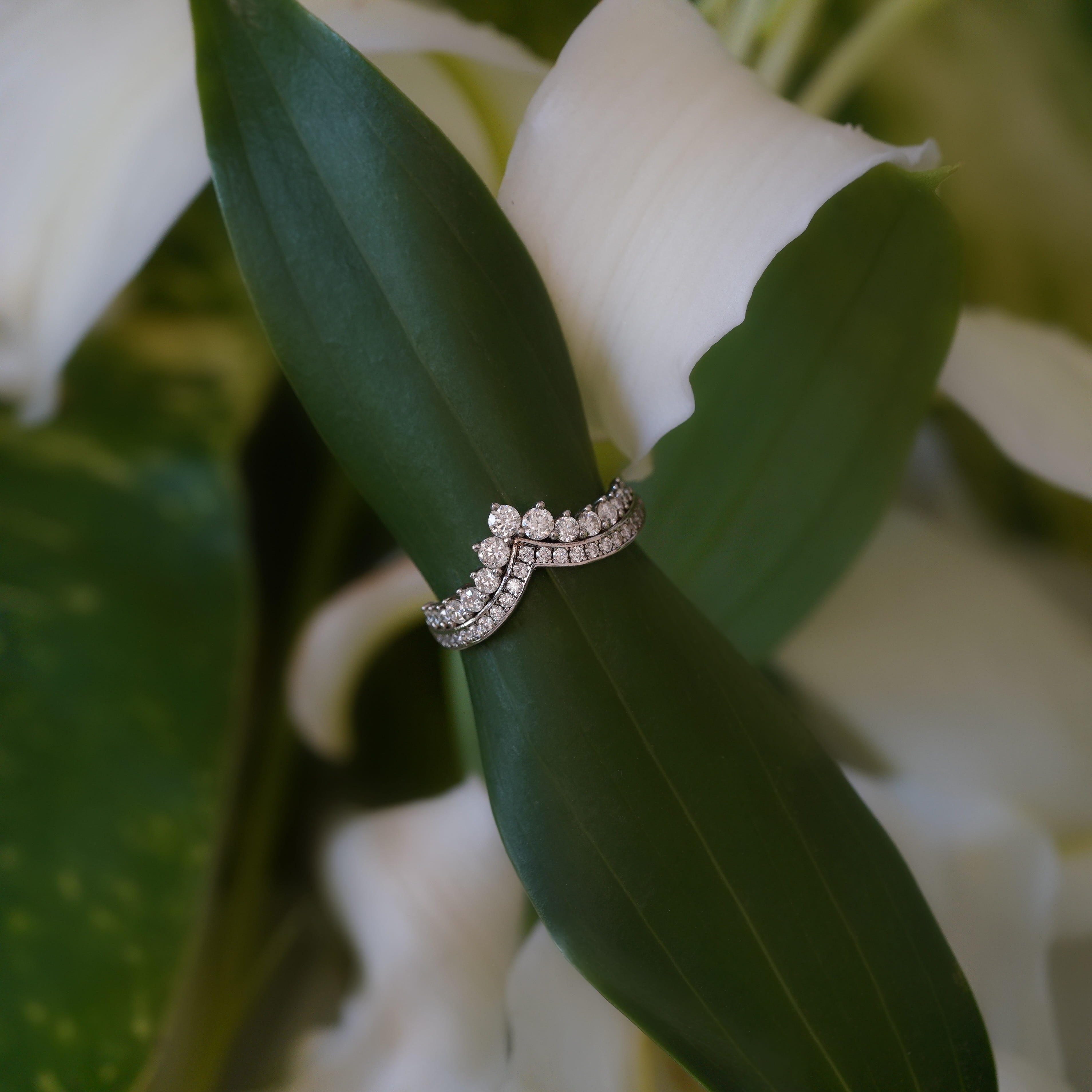 Elaris Princess Ring