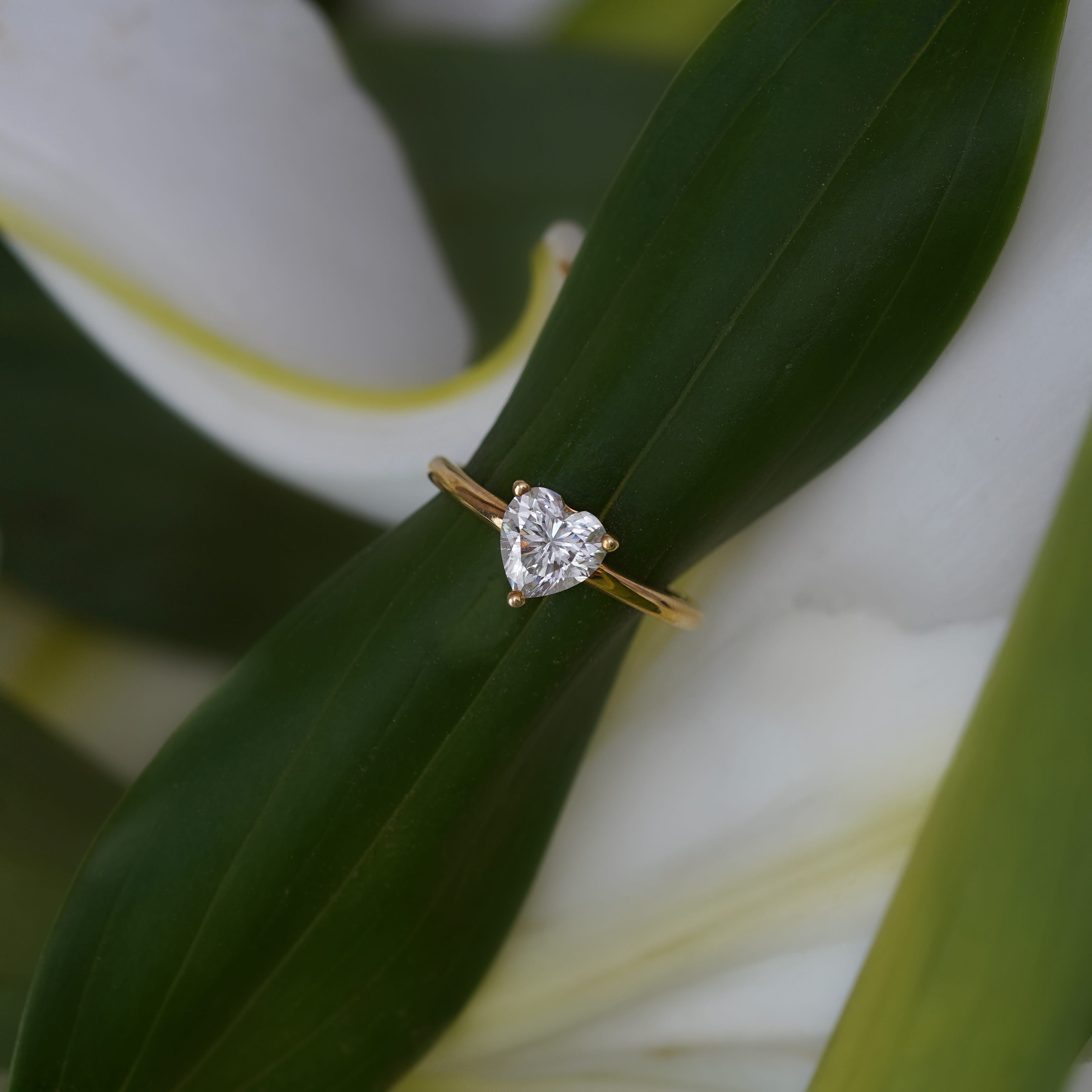 Valentina Heart Solitaire Ring