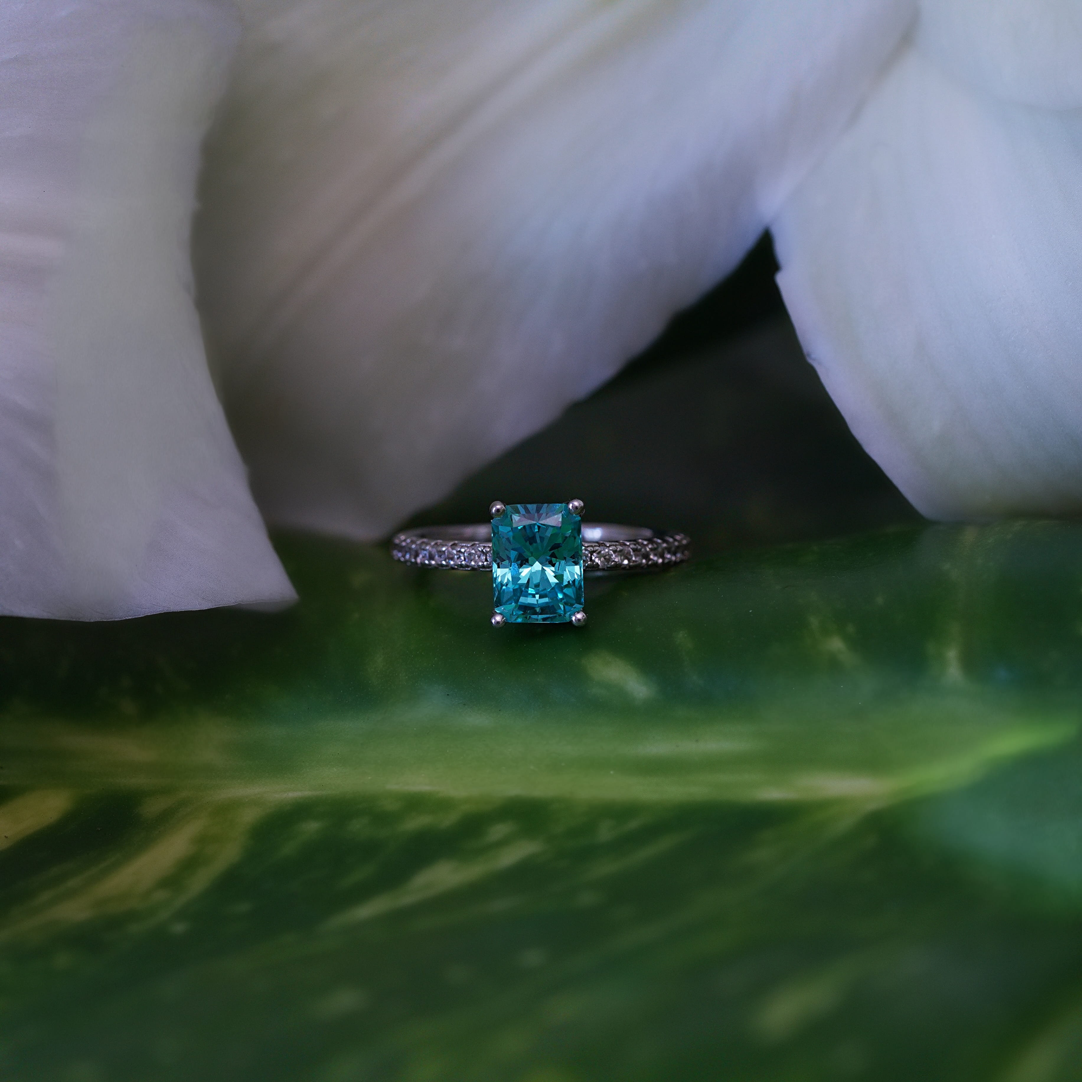 Radiant Pavé Ring (Paraiba)