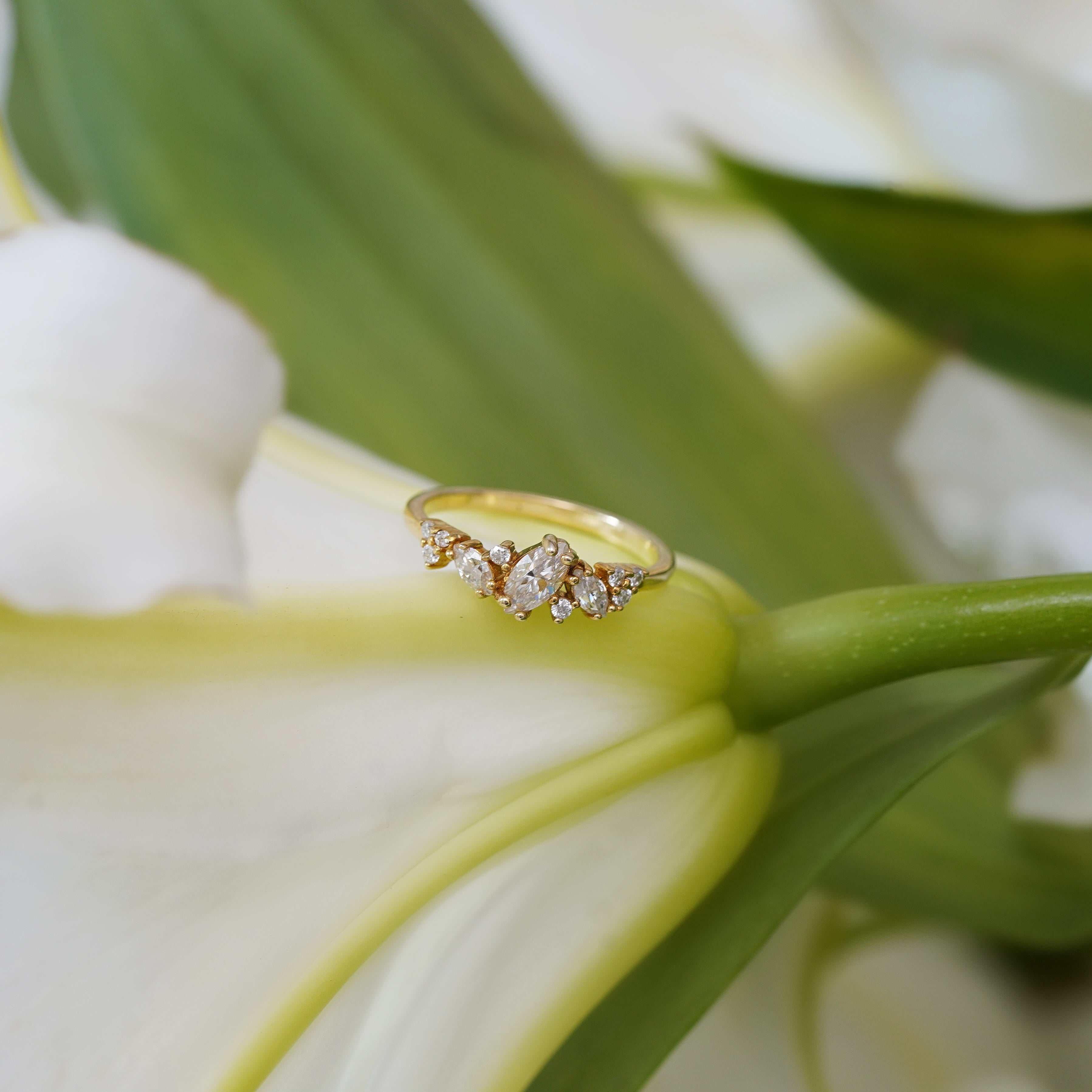 Halley Marquise Half Eternity