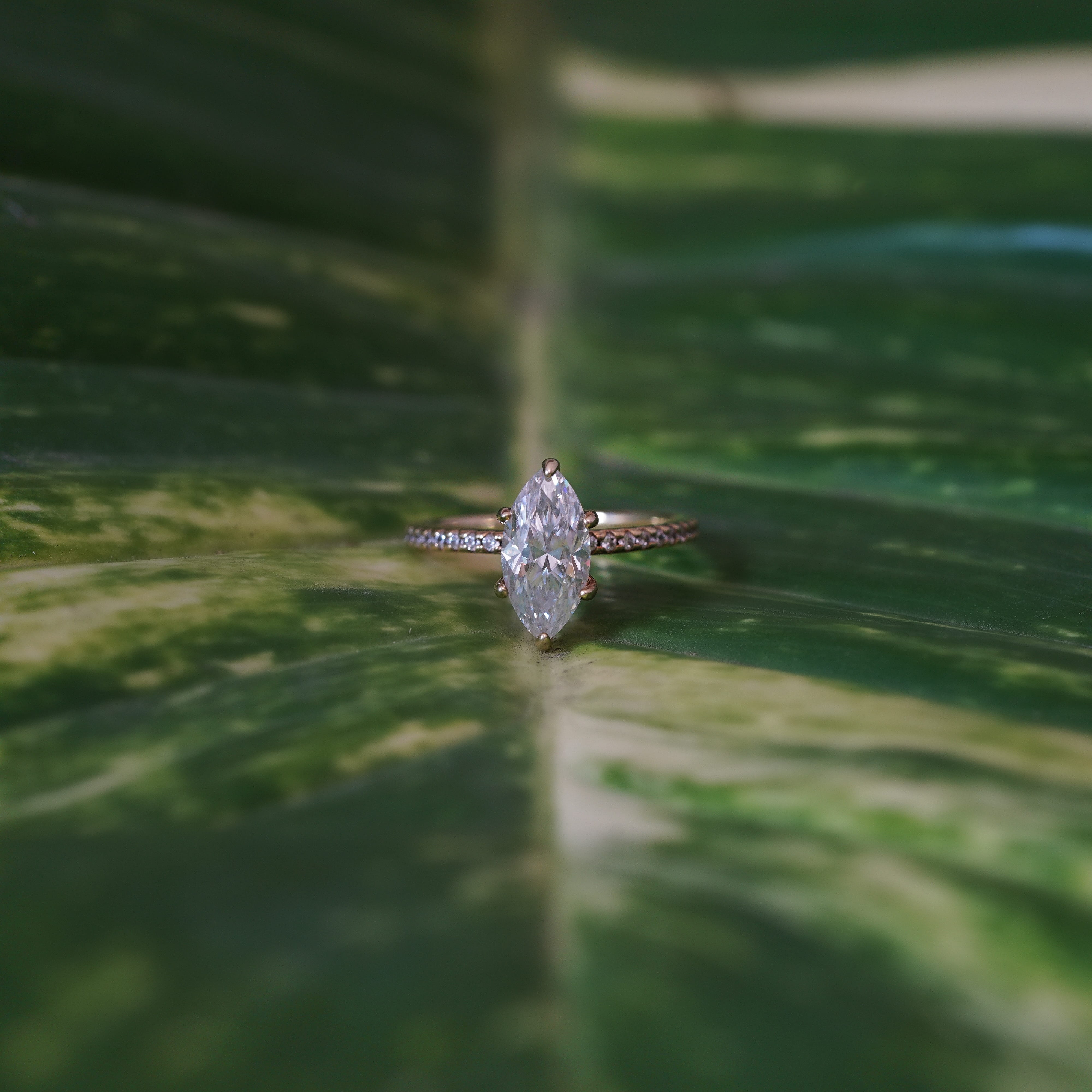 Marquise Pavé Ring