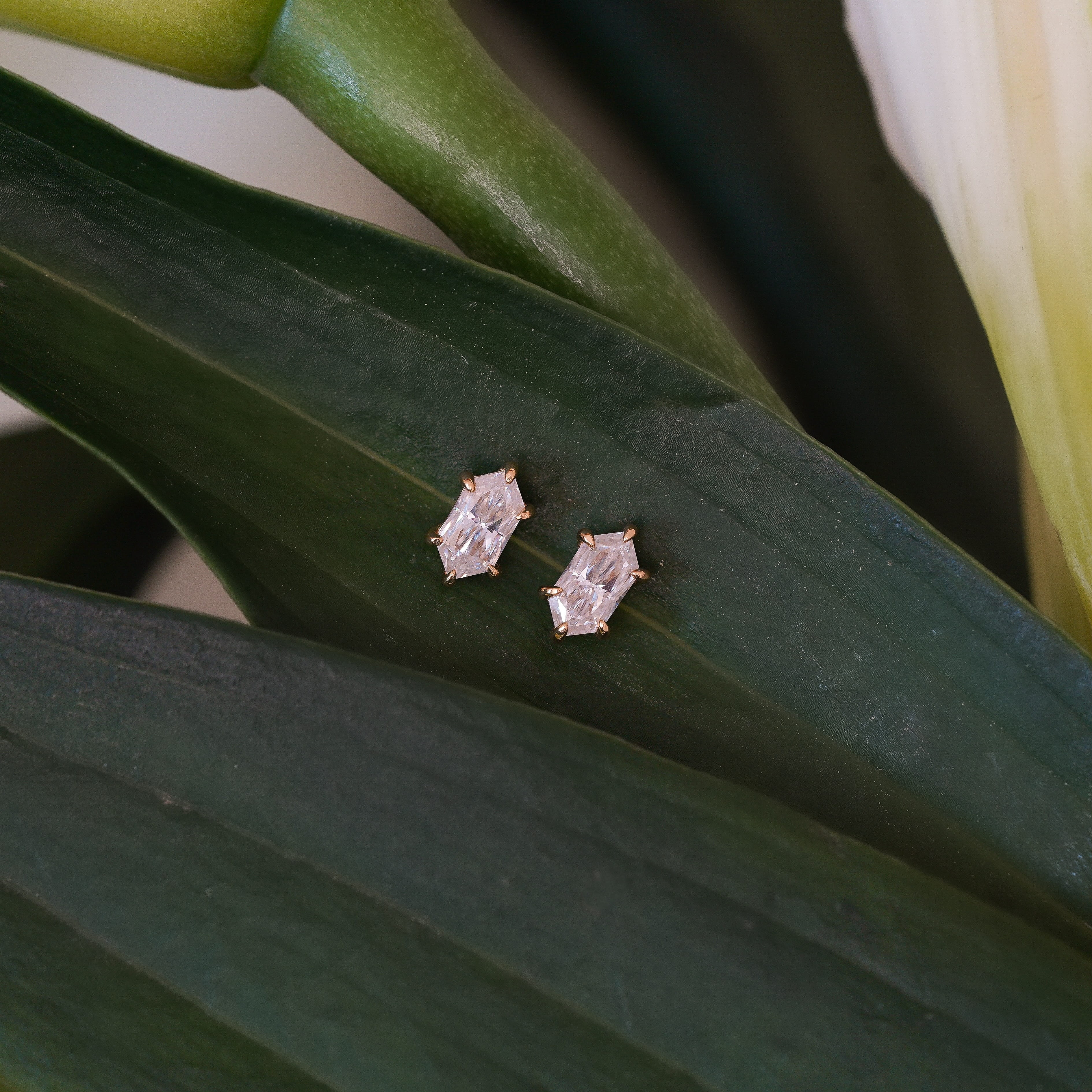 Diamond Hexagon Cut Stud Earrings on leaf