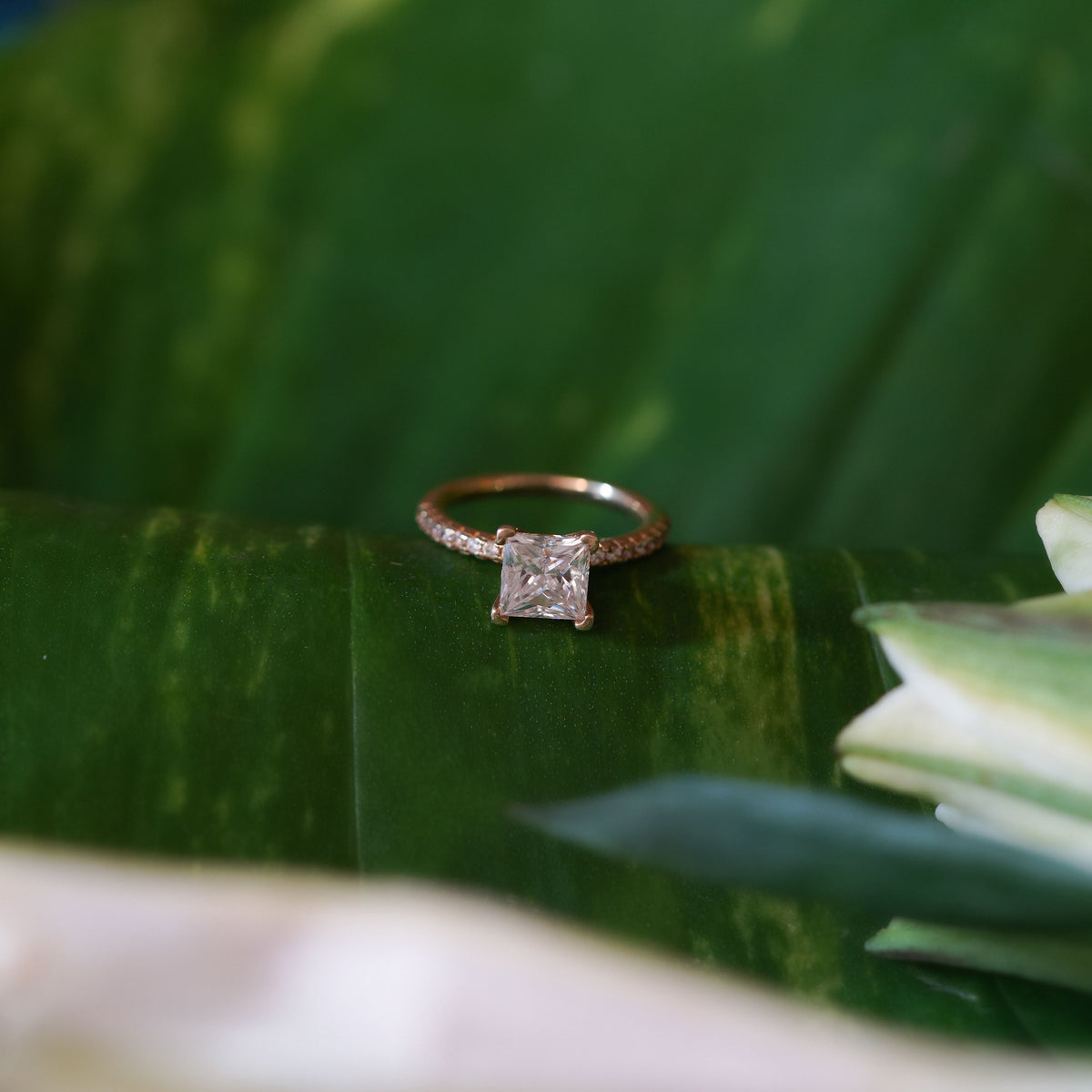 Princess Pavé Setting Ring