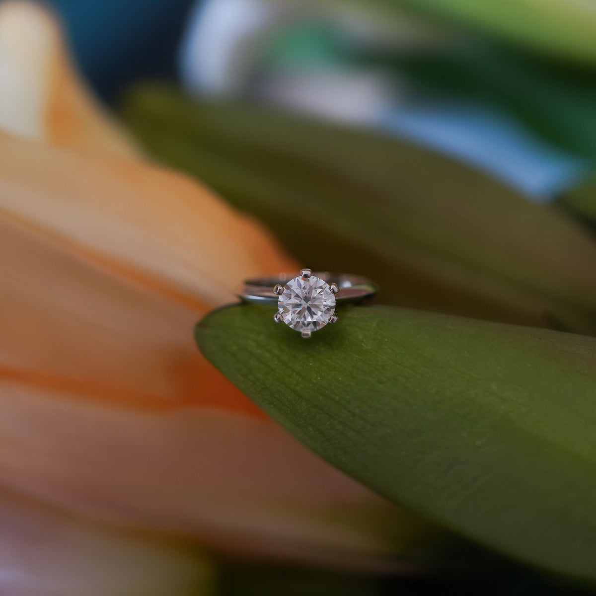 Selene Classic Solitaire Ring (Moissanite)