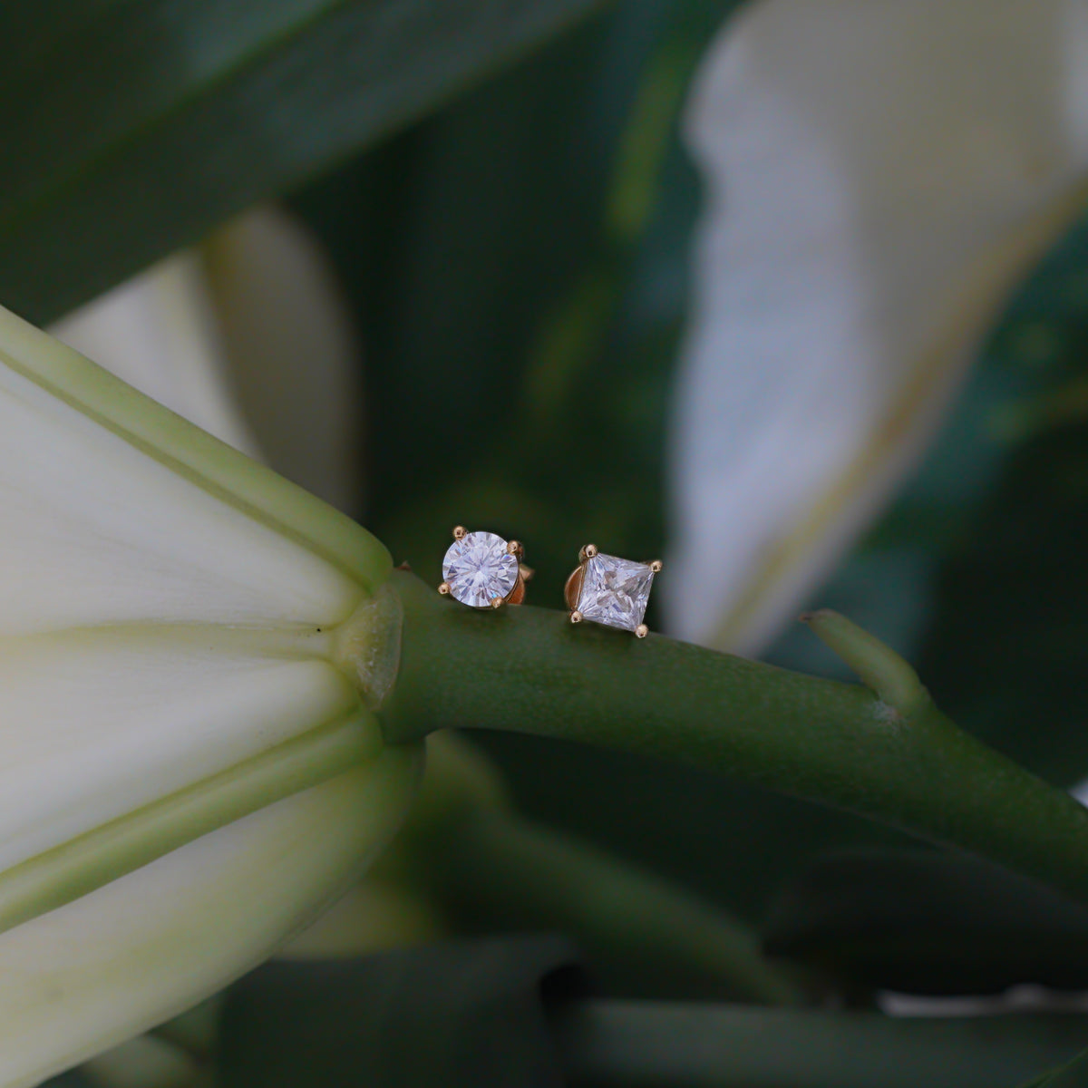 Men's Earrings (Round + Princess)