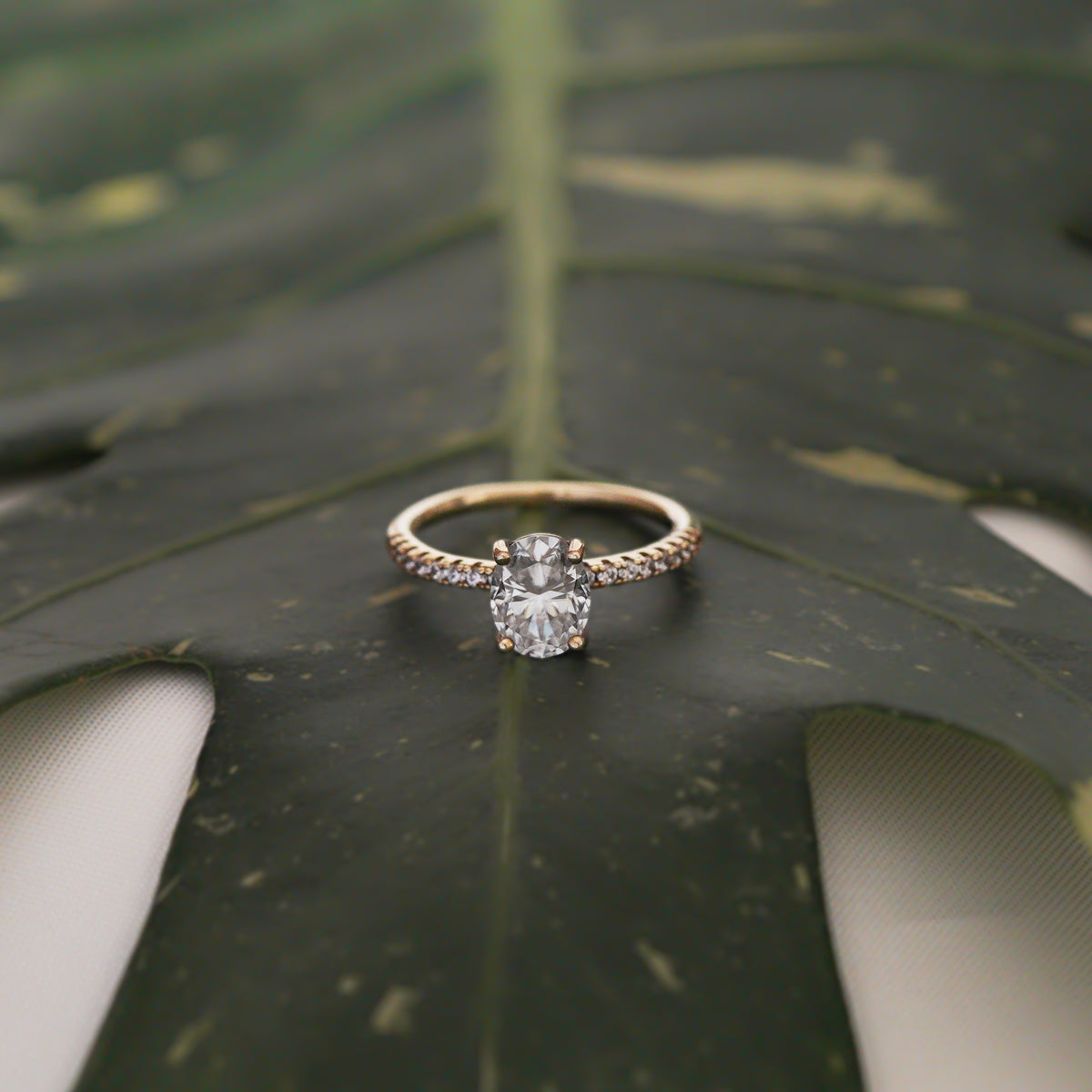 Oval Cut Pavé Setting Ring