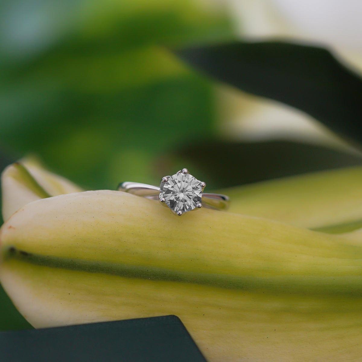 Dahliane Petal Cathedral Ring