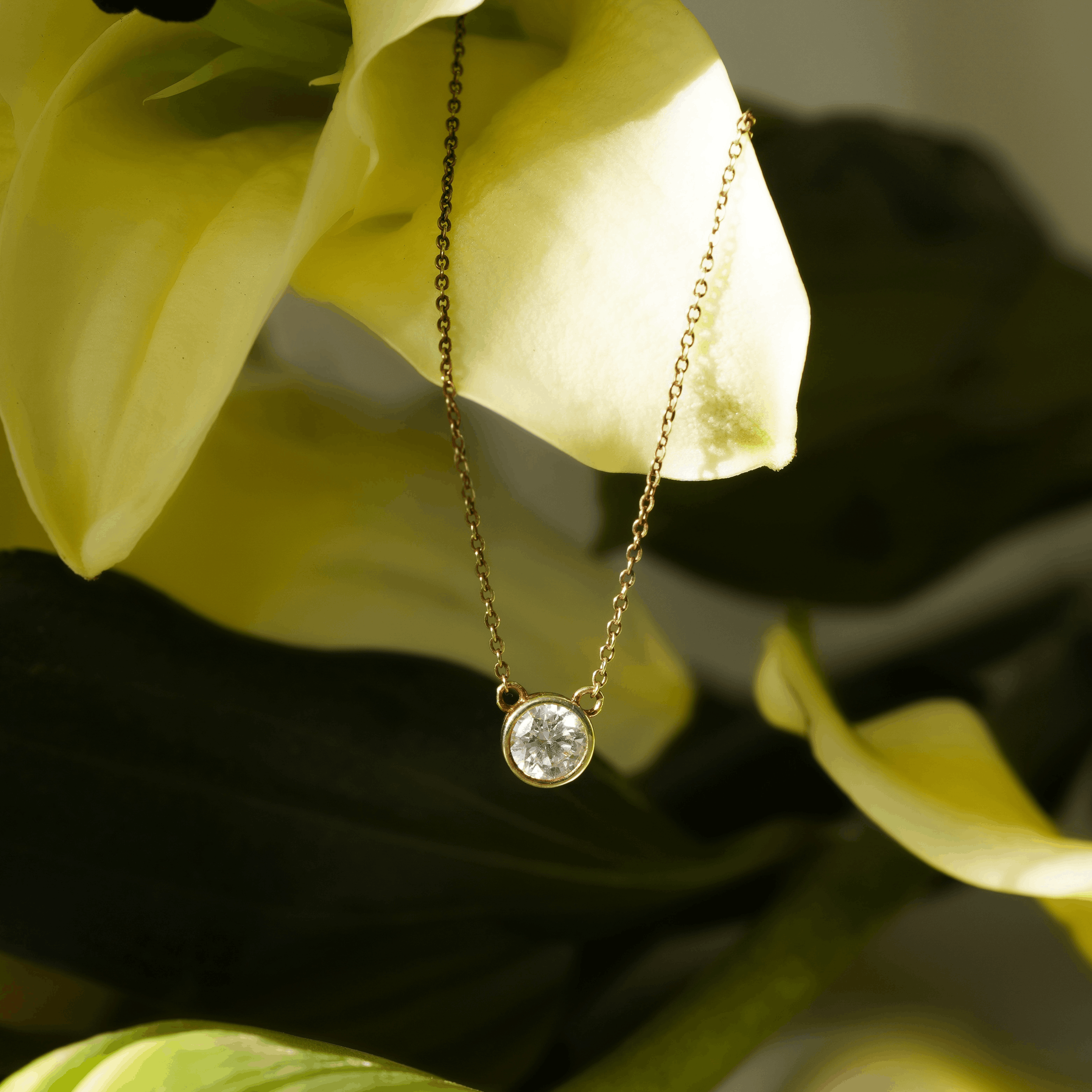 Ayla Bezel Necklace