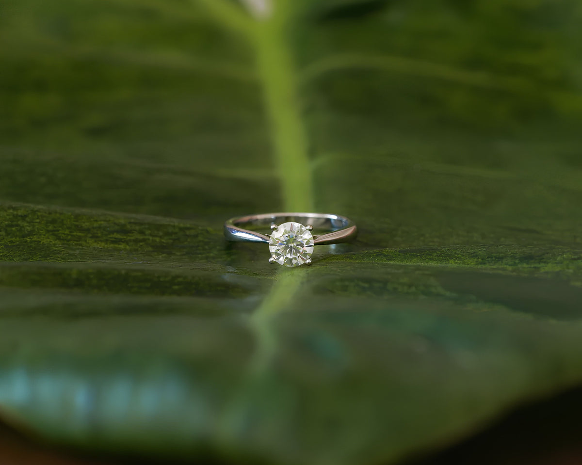 Classic round solitaire engagement ring displayed on a lush green leaf, highlighting timeless elegance and natural beauty.