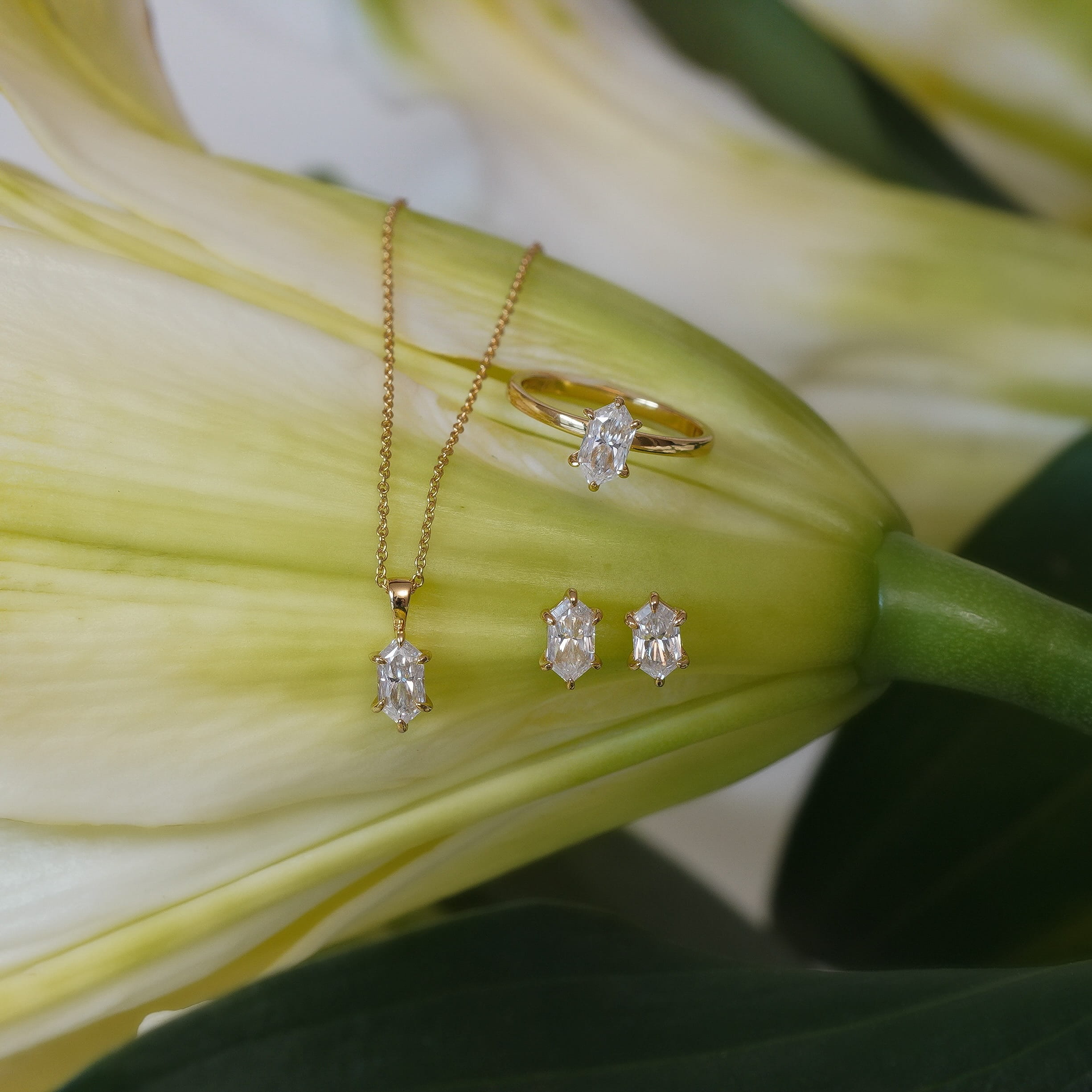 The Estera Dutch Marquise Collection