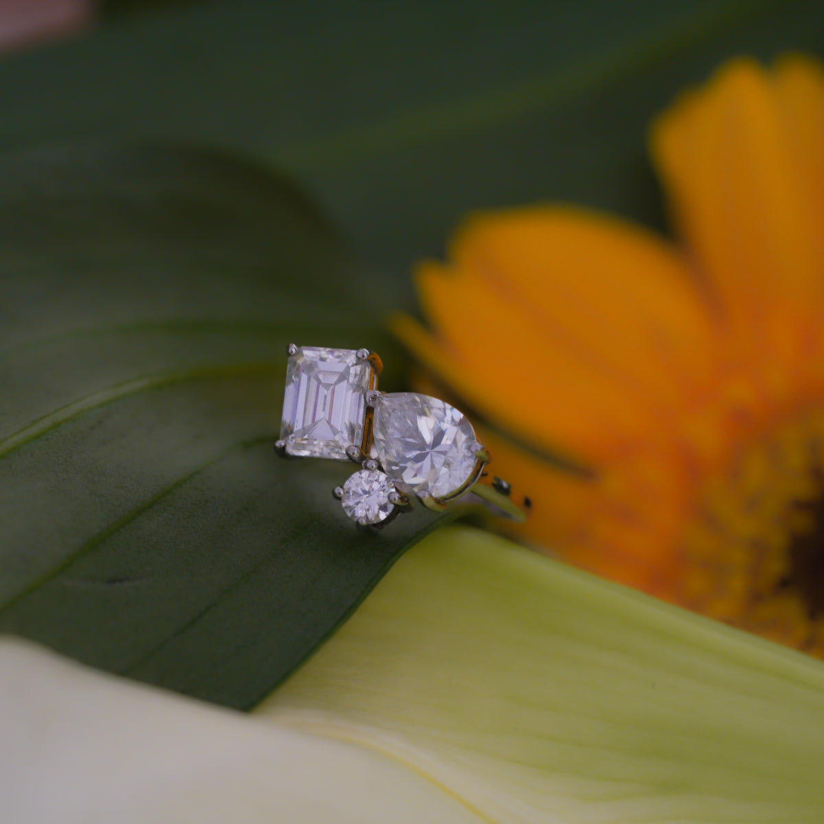Andromeda Three-Stone Ring