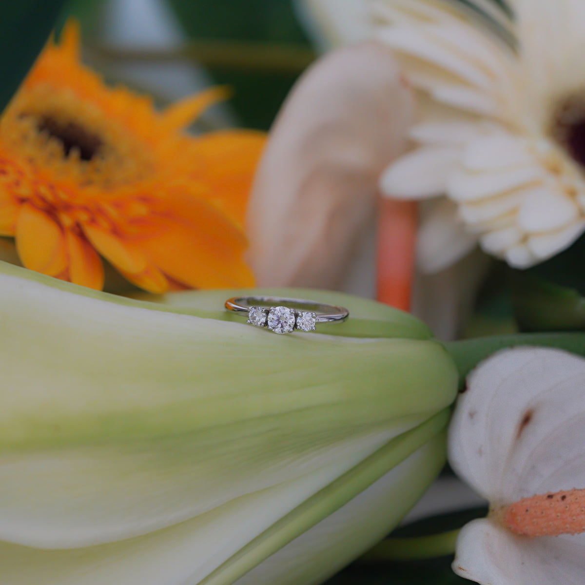 Astra Three-Stone Promise Ring