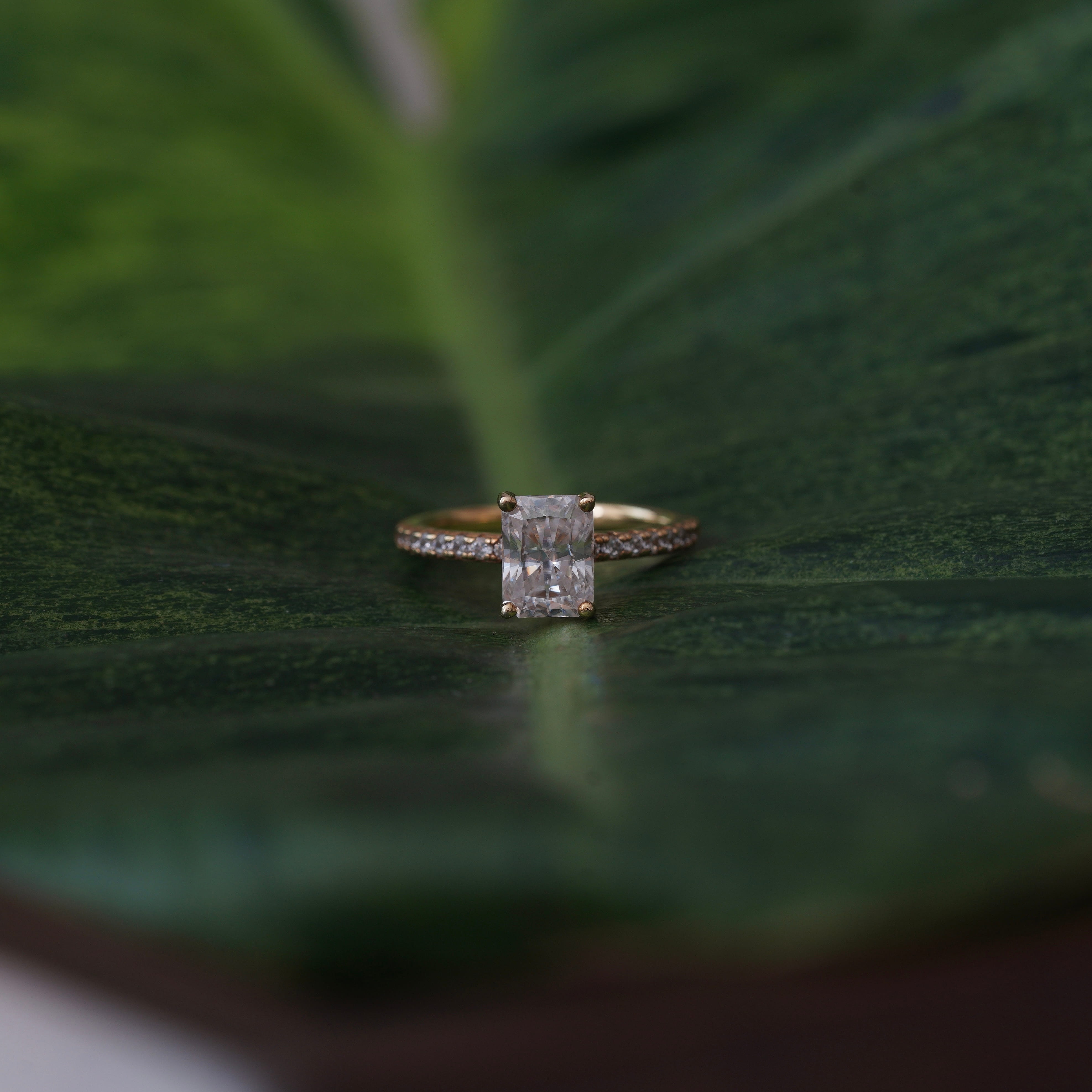 Radiant Pavé Ring
