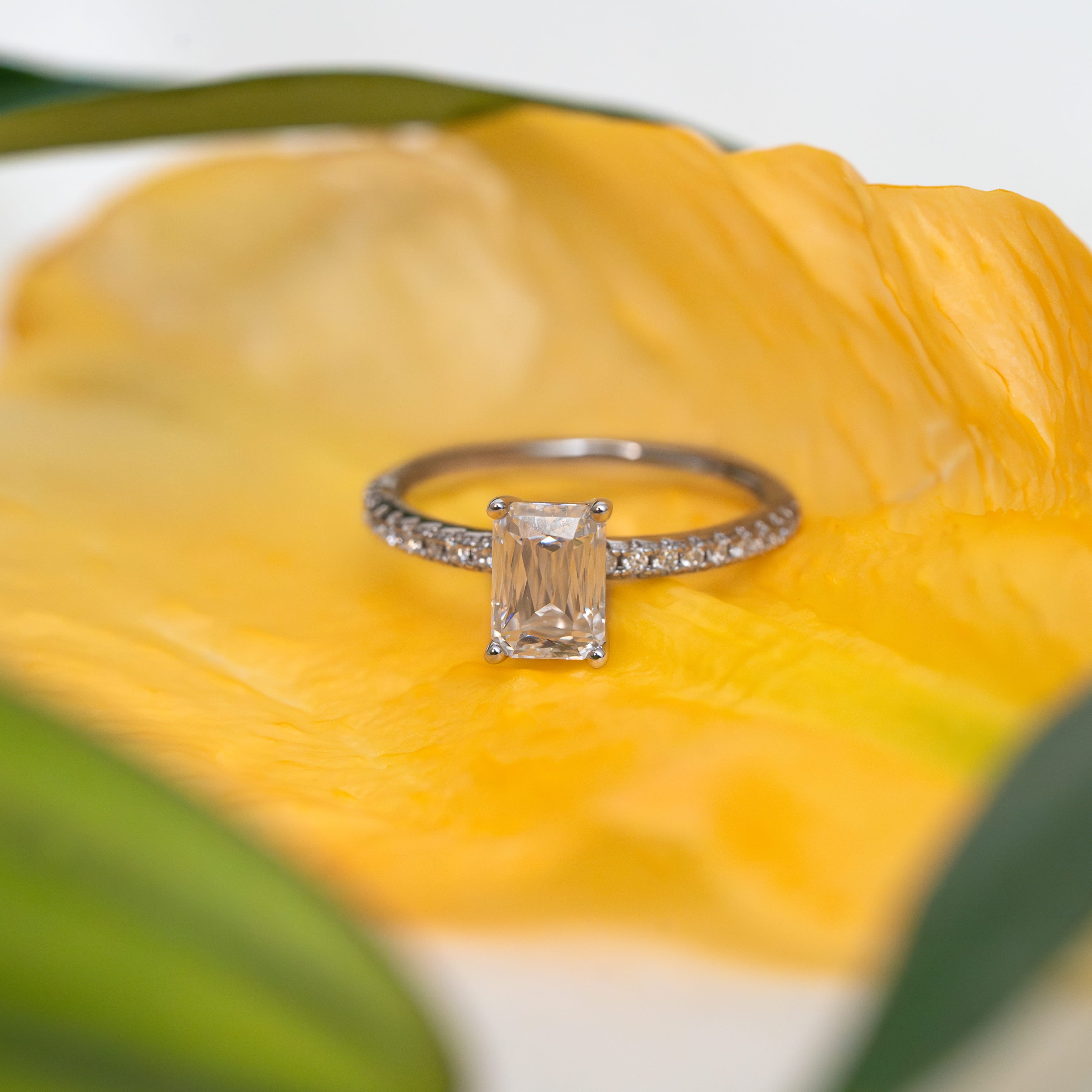 Elvara Pavé Ring (Crisscut)