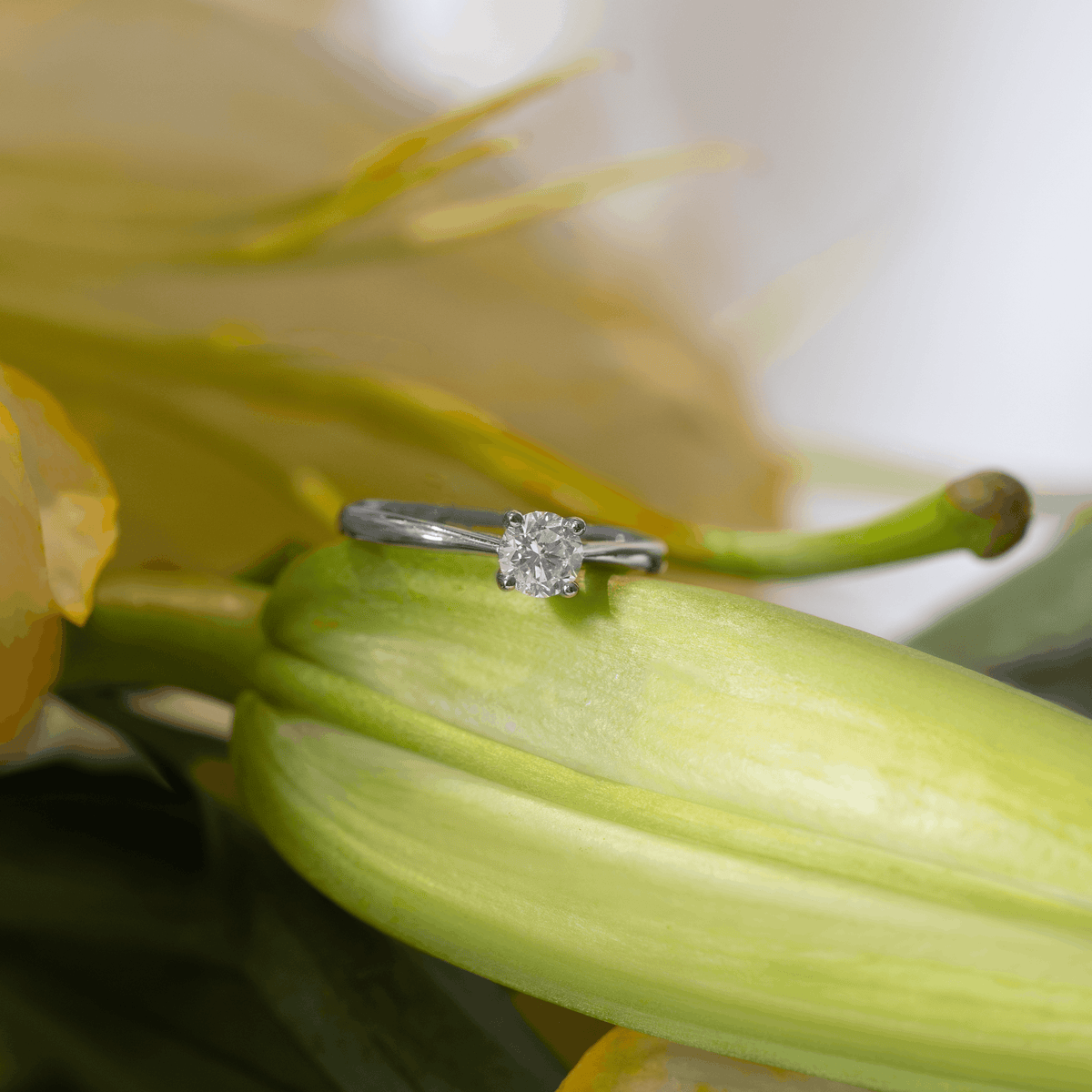 Aveline Cathedral Ring (Diamond)