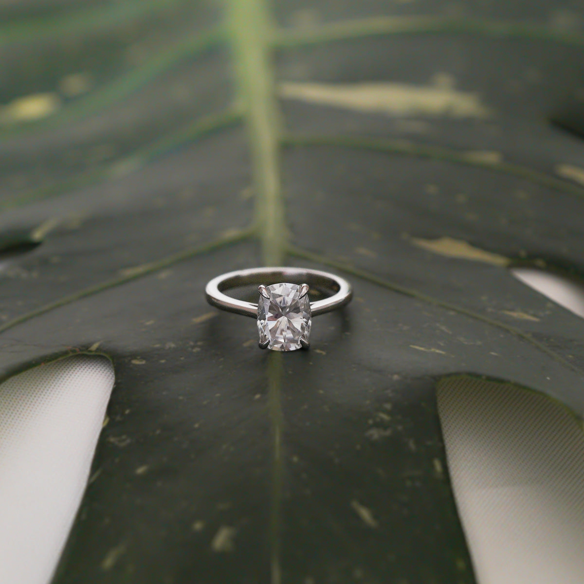 Elongated Cushion Solitaire Ring