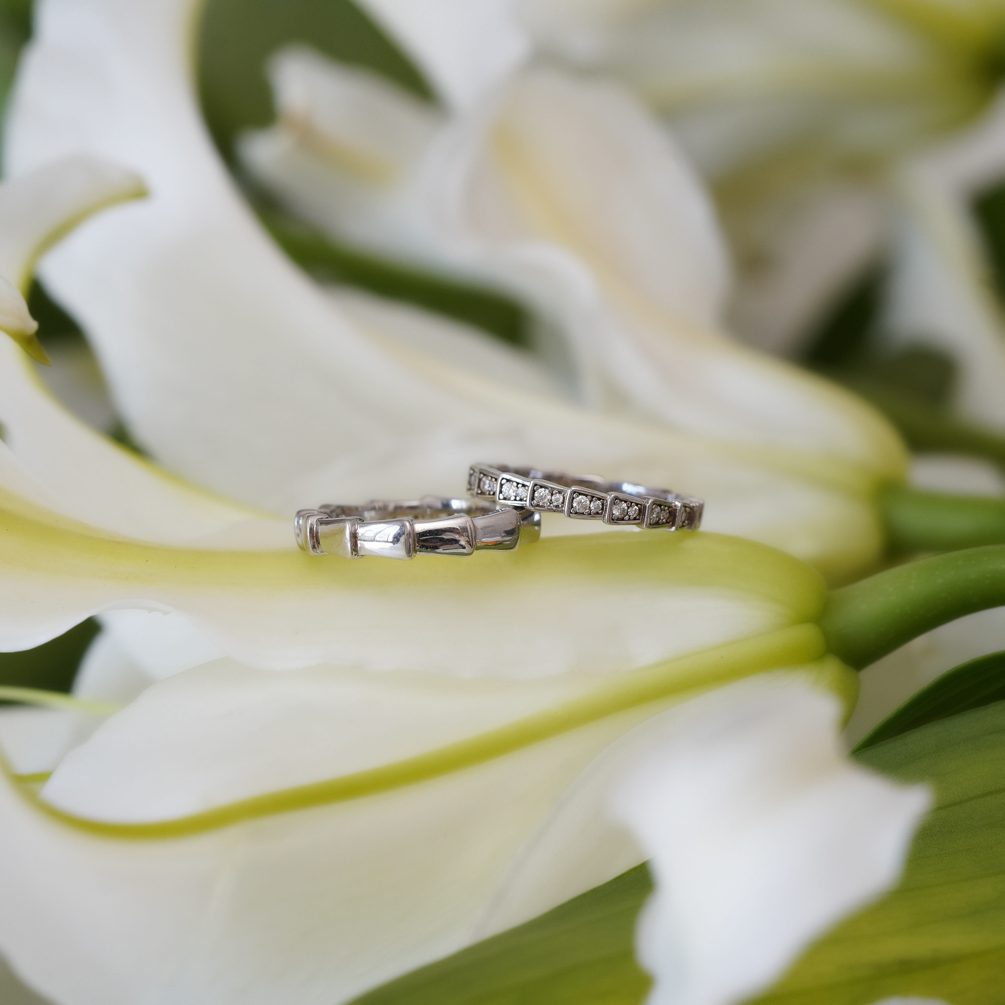 Serpens Couple Ring