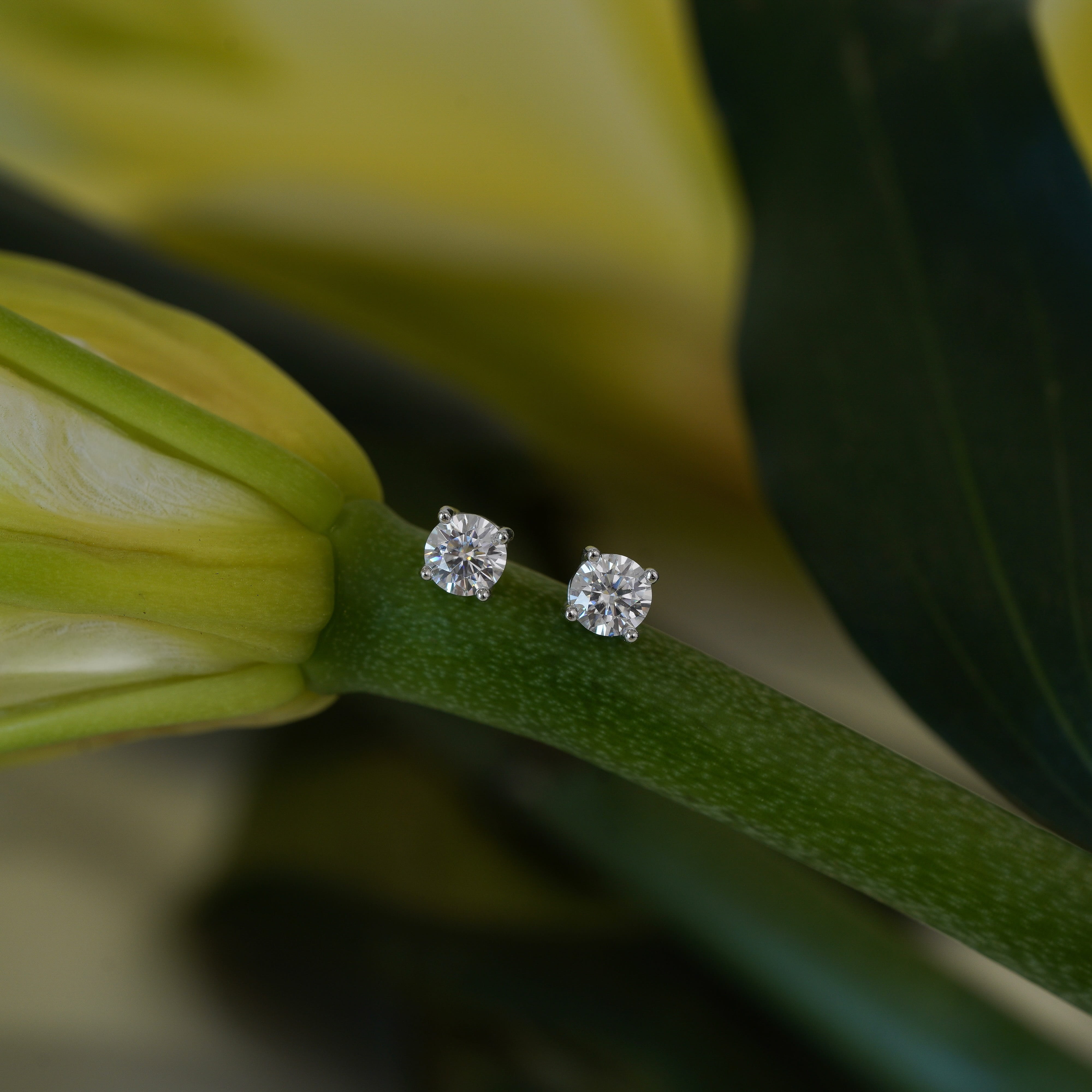 Celeste Classic Stud Earrings