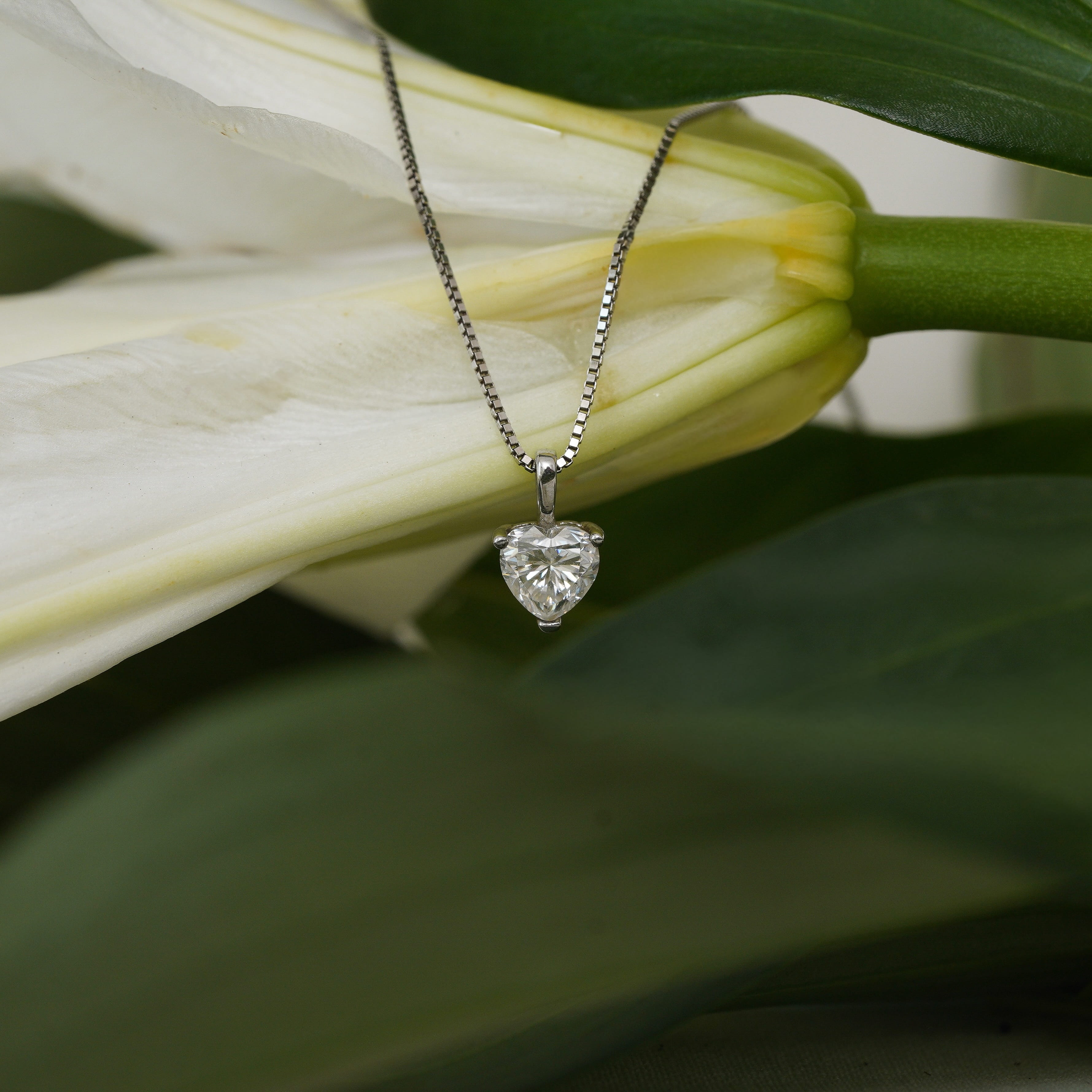 Valentina Heart Necklace