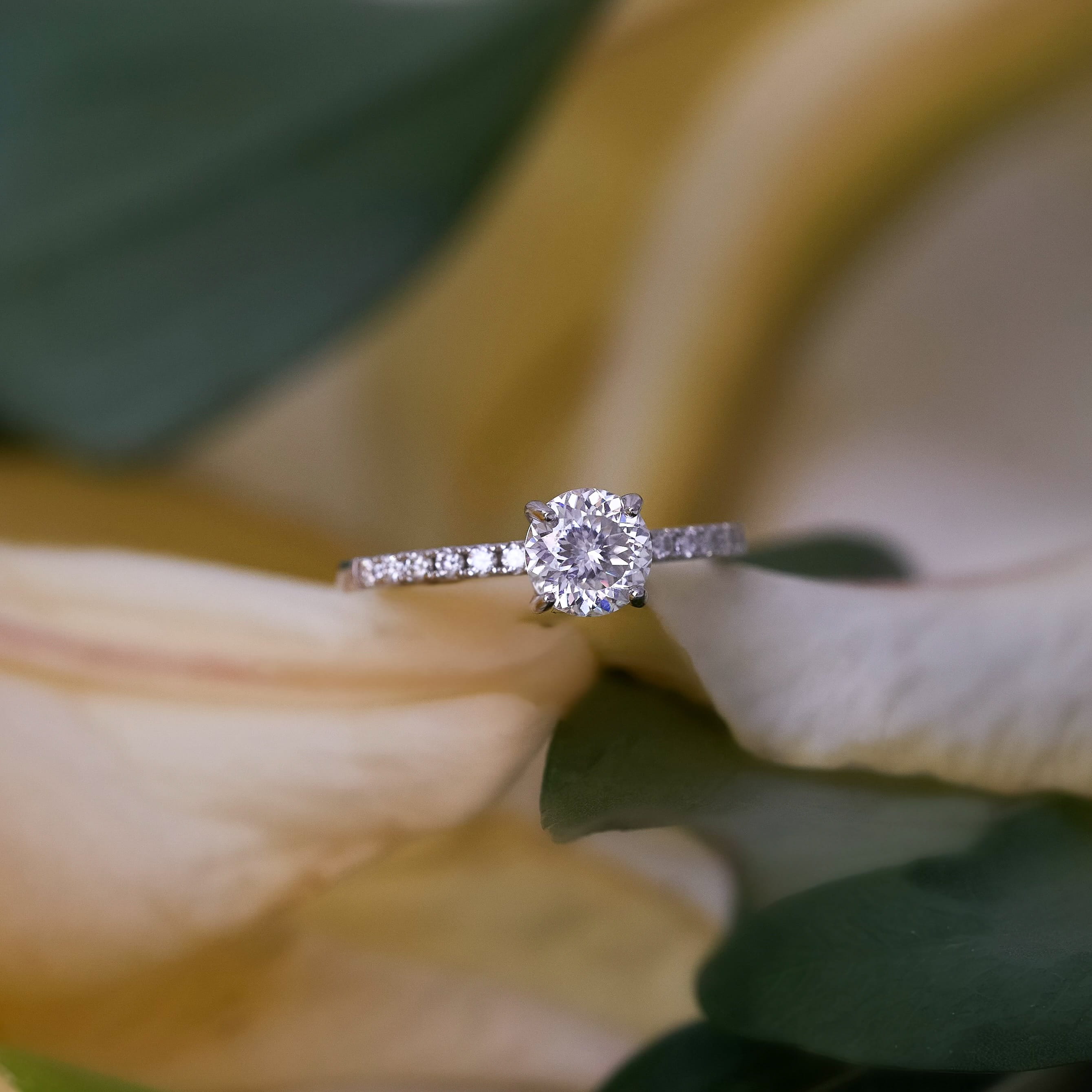 Clementine Pavé Ring (100-Flowers)