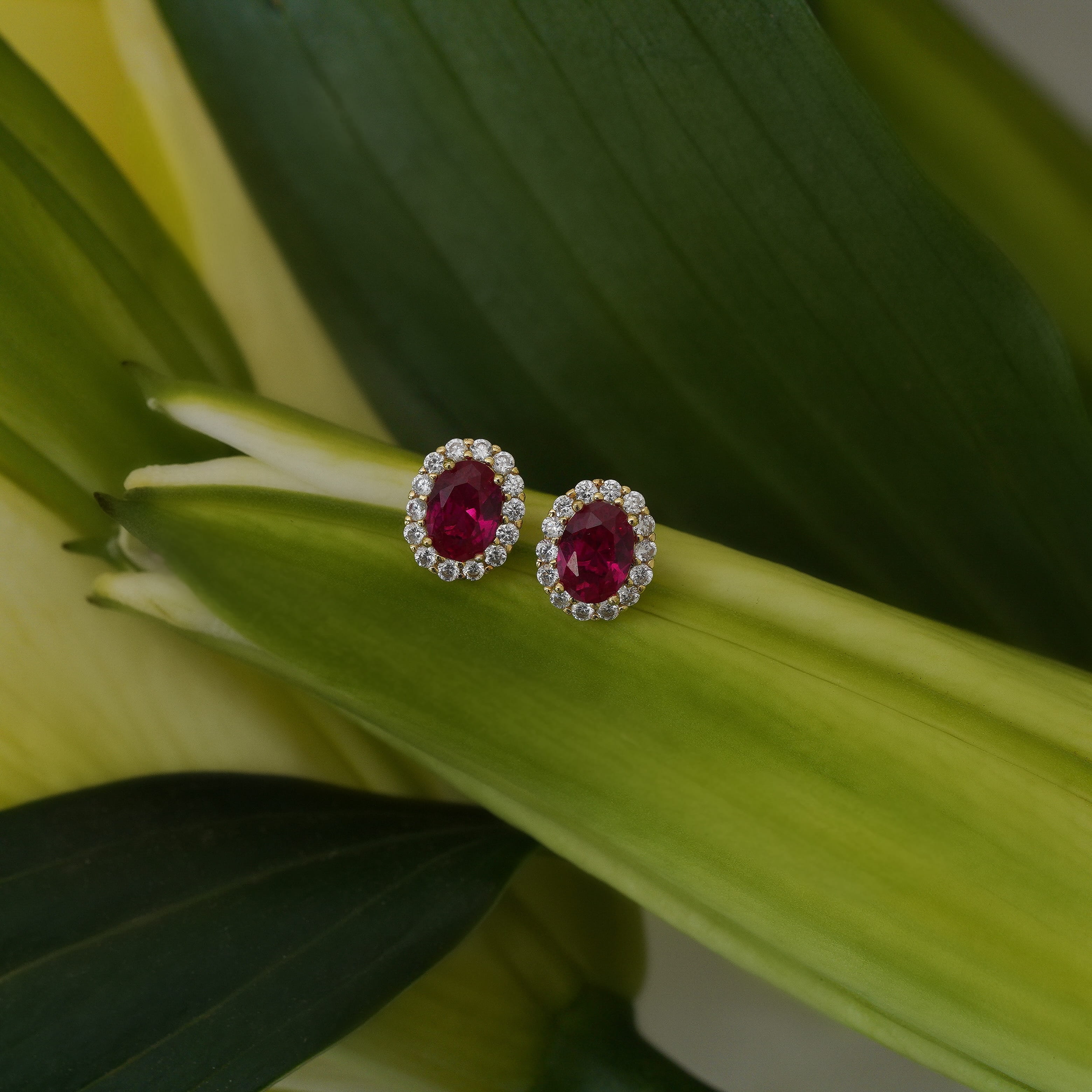 Lab Ruby Halo Studs