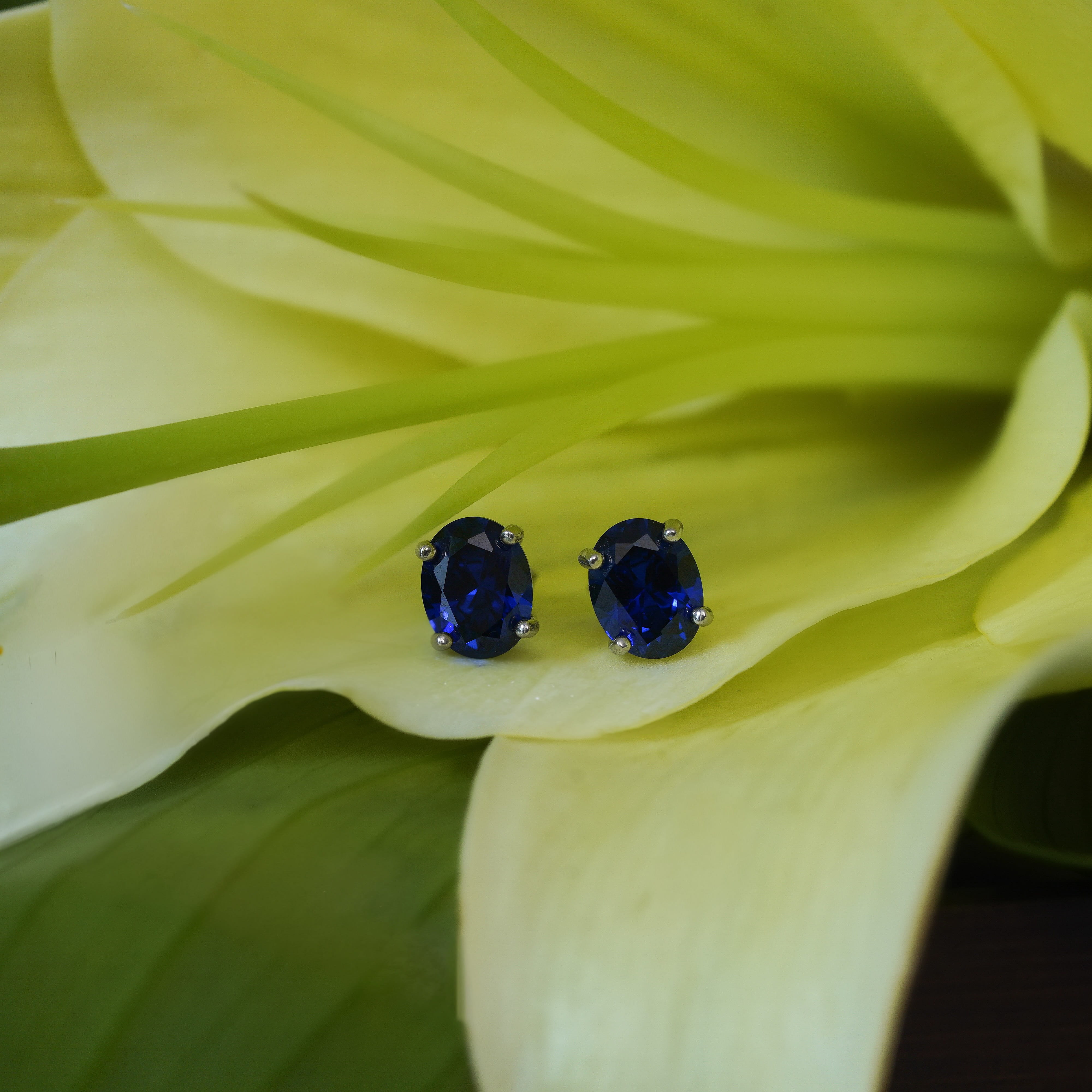 Lab Sapphire Classic Studs