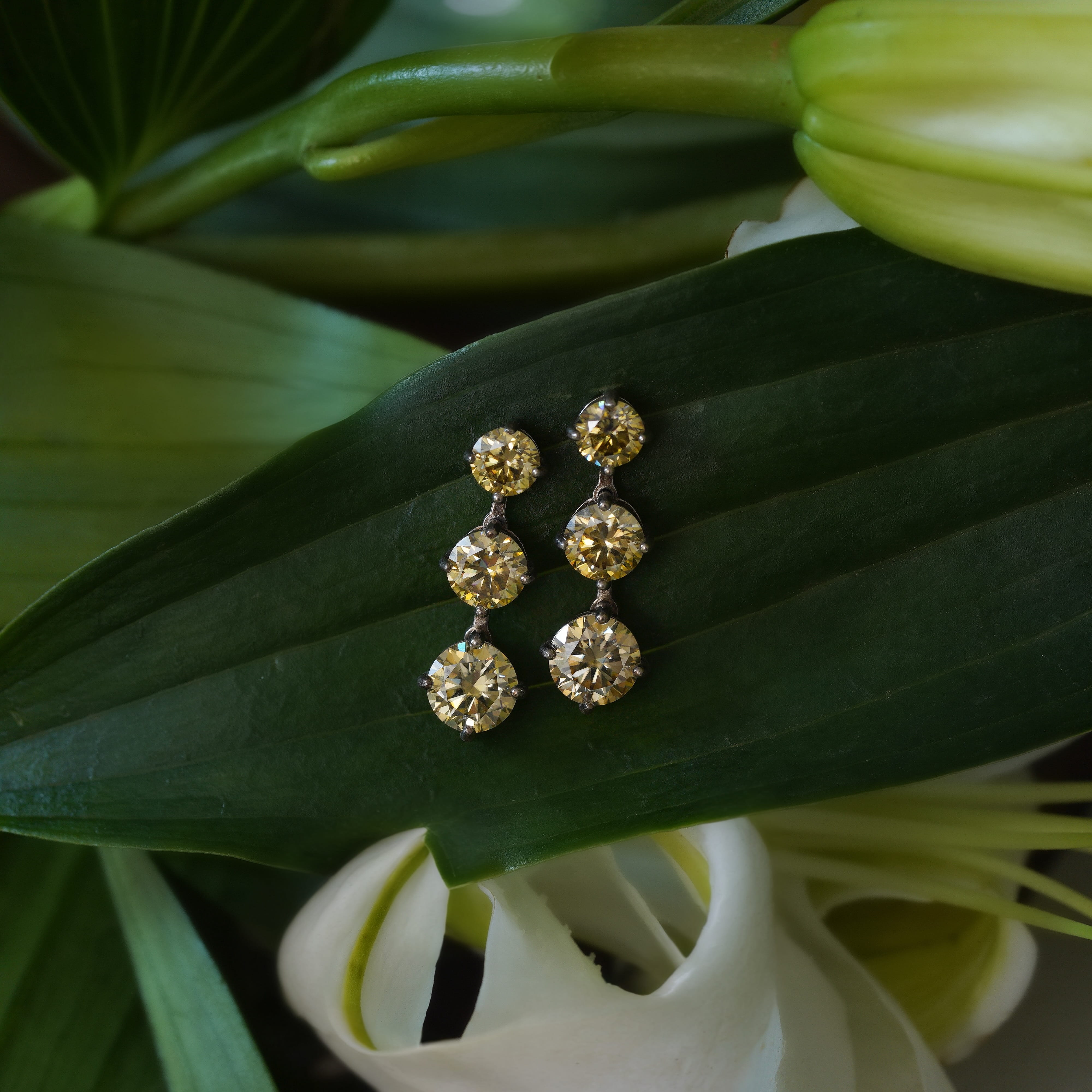 Solen Dangling Earrings
