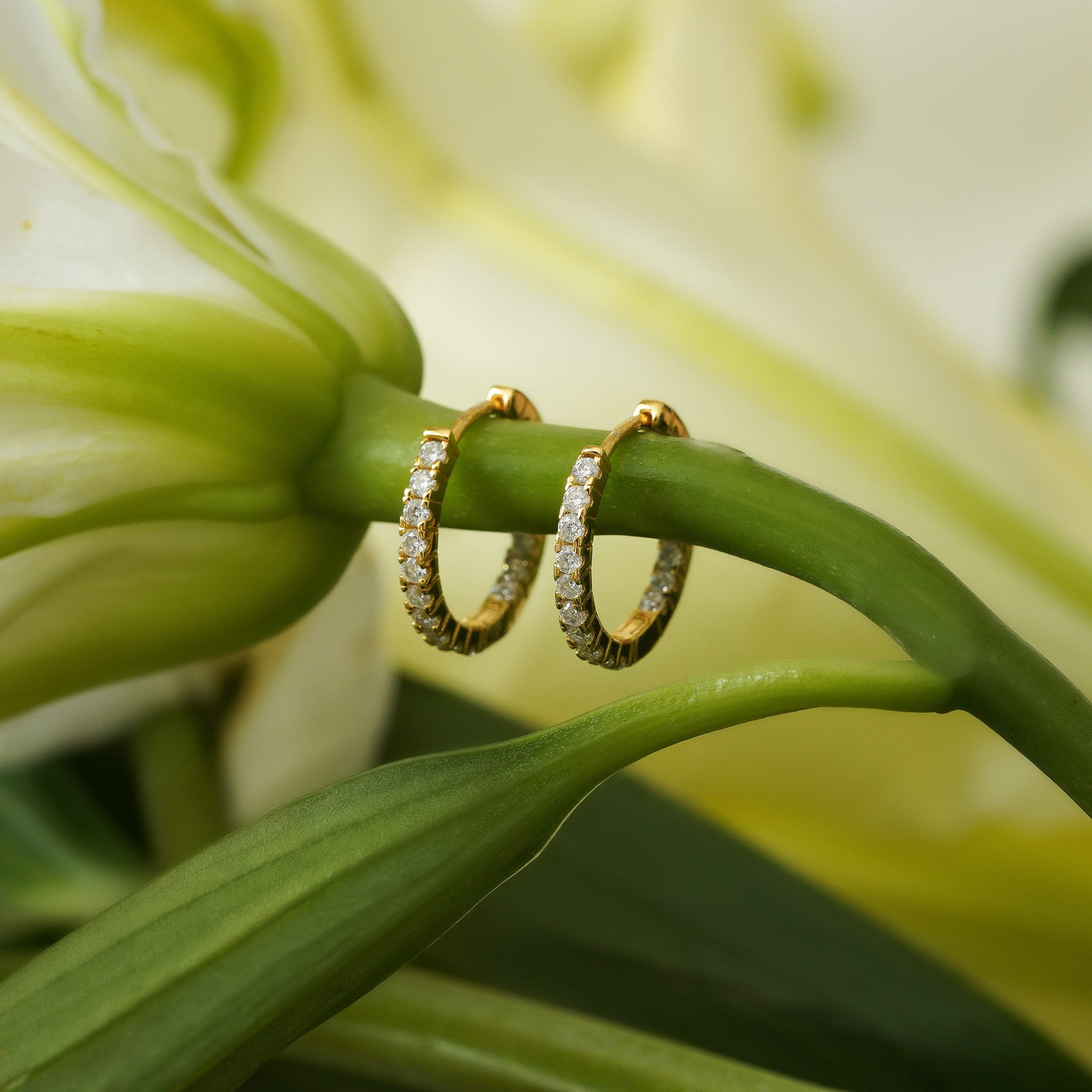 Portia Hoop Earrings