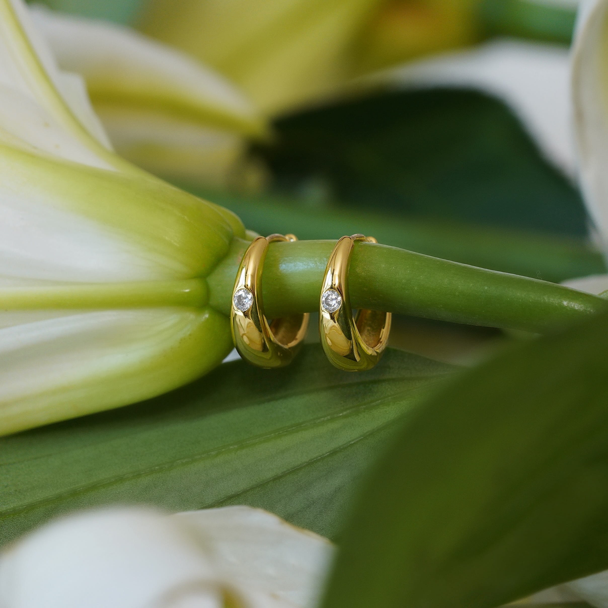 Nova Hoop Earrings