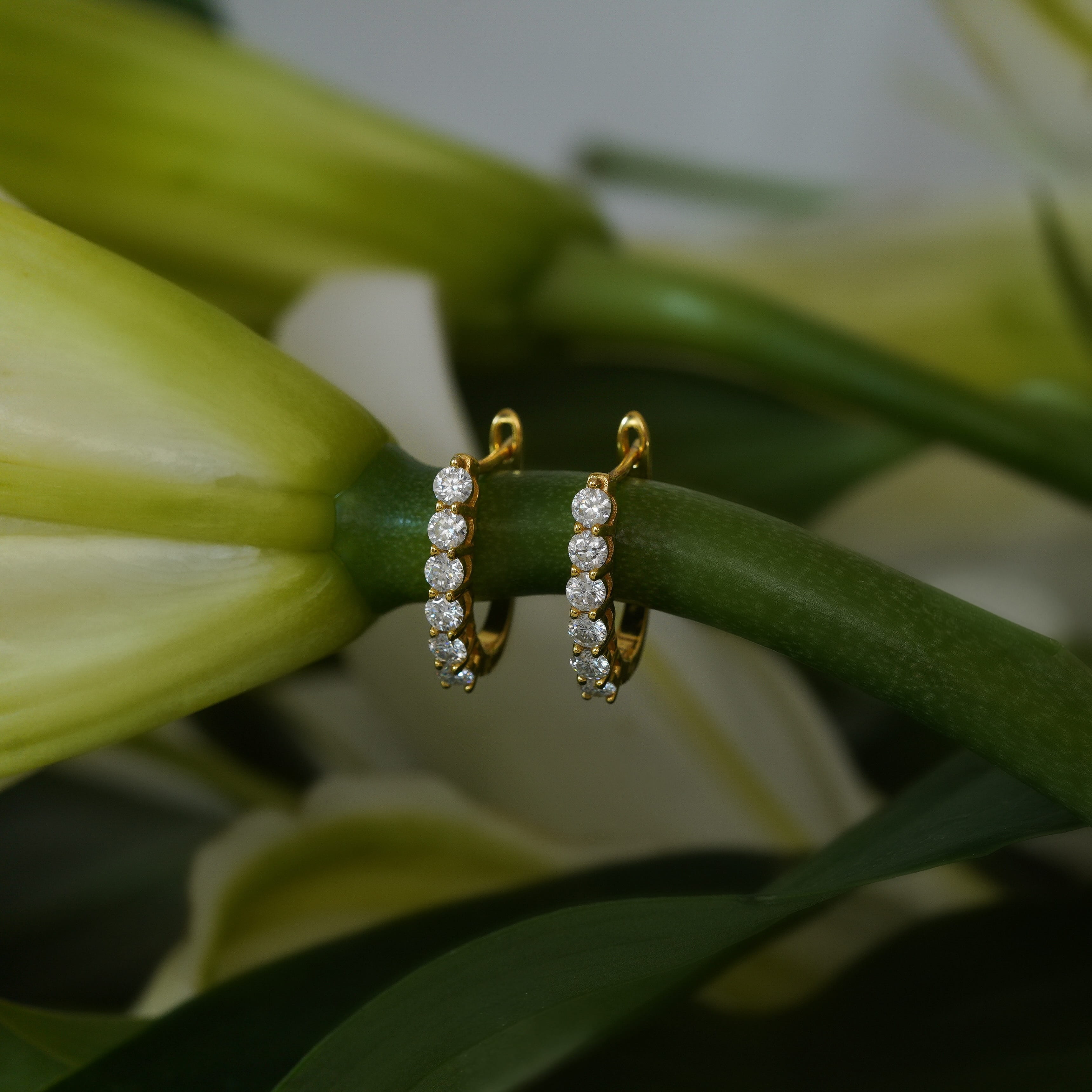 Stella Hoop Earrings