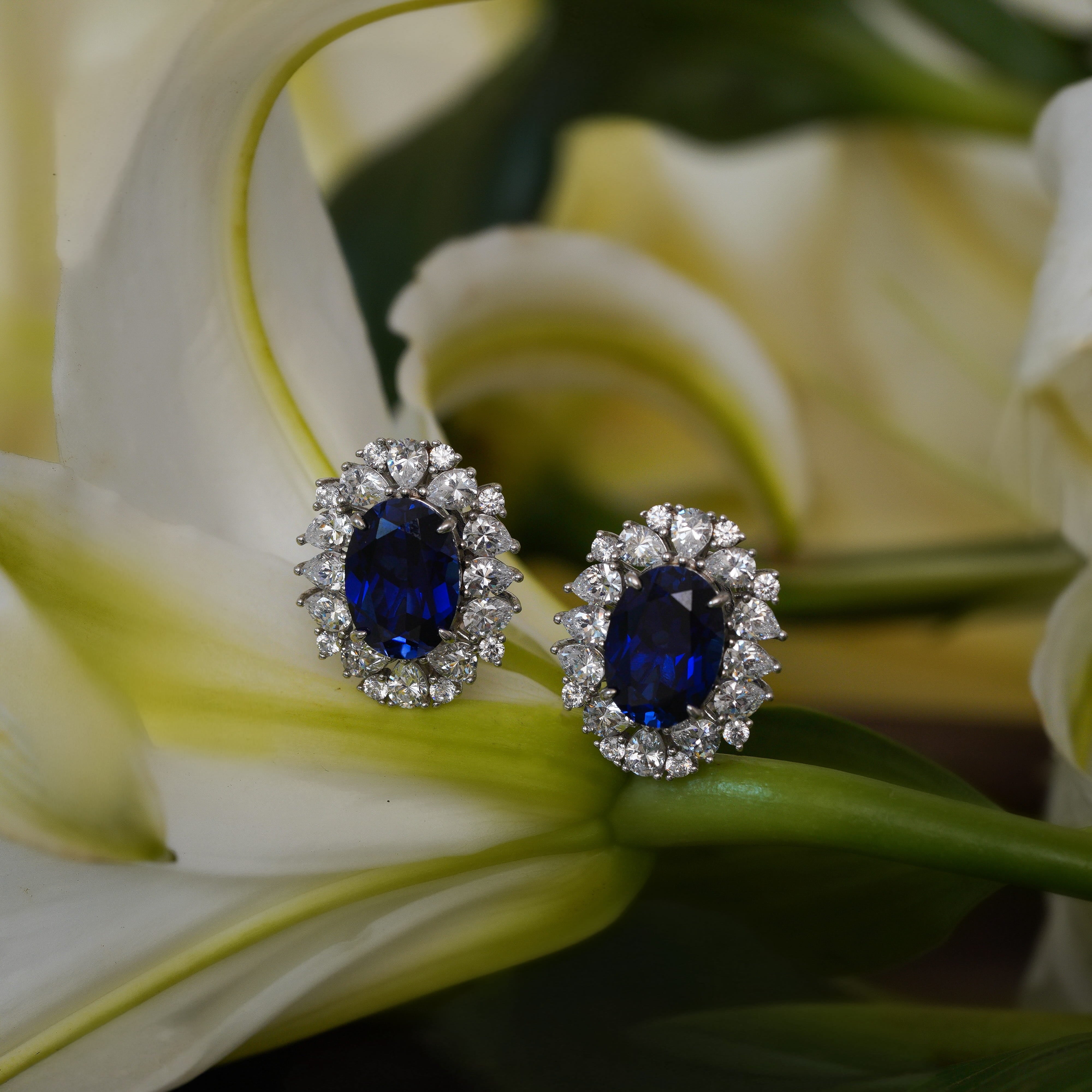 Cepheia Sapphire Earrings