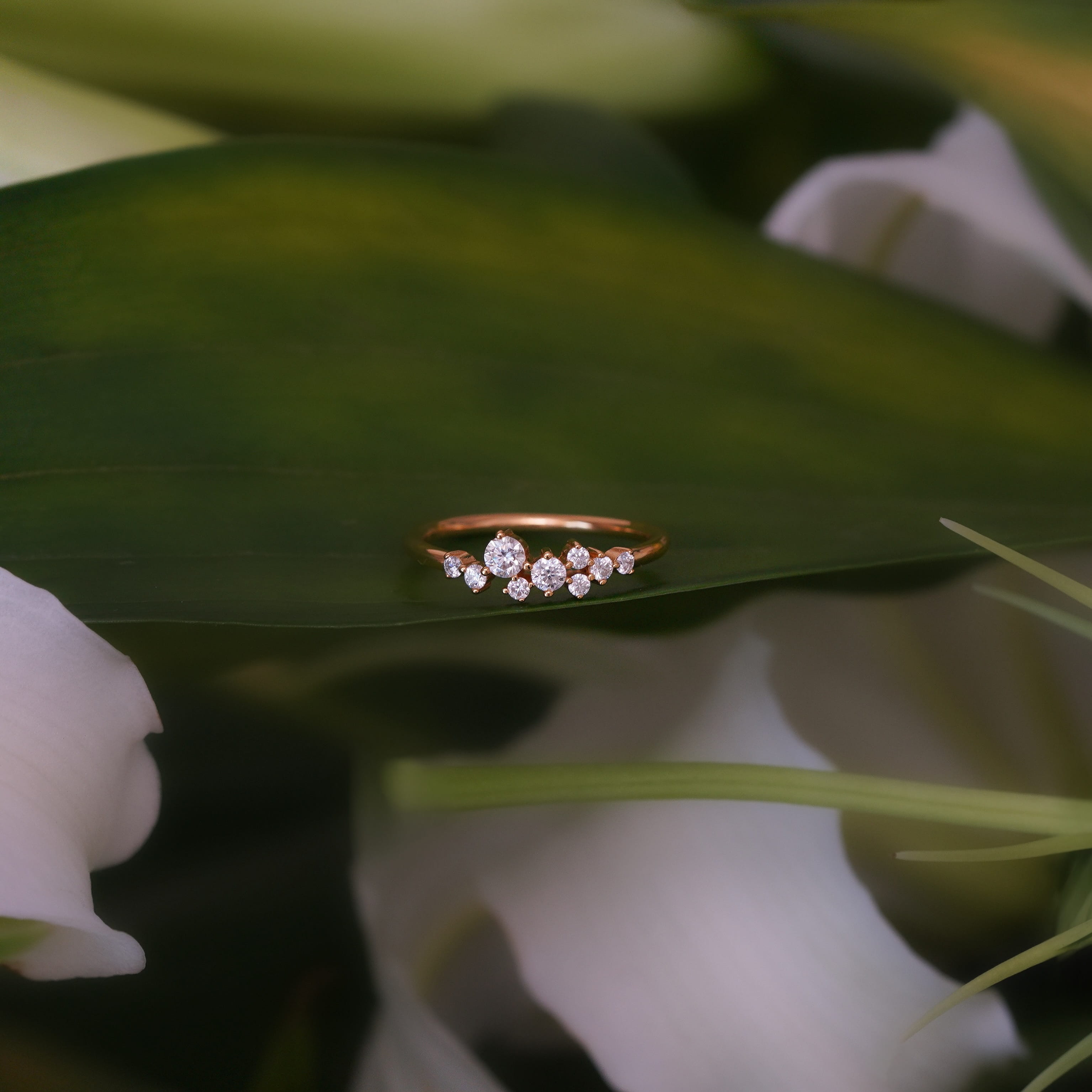 Cassara Promise Ring