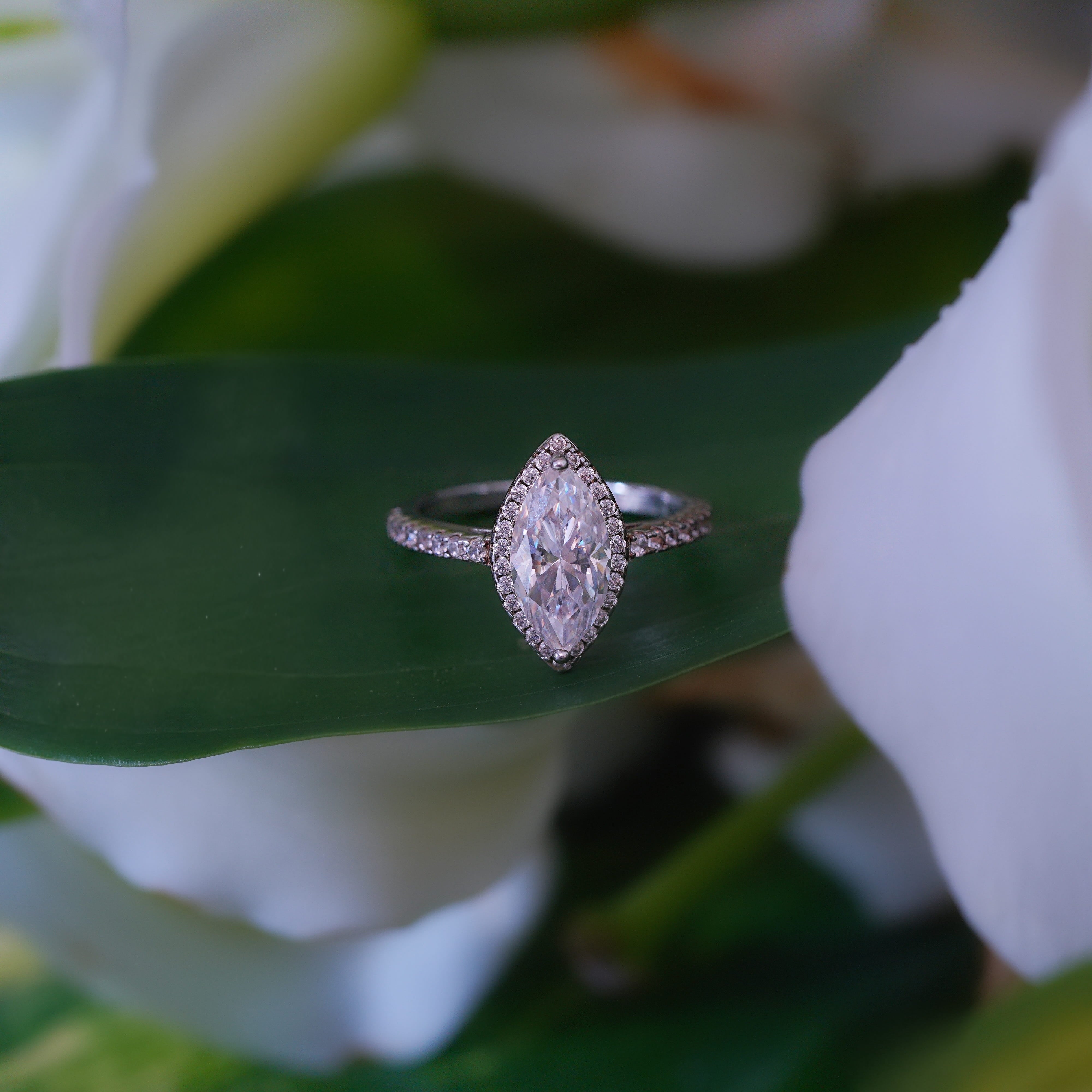 Marquise Halo Pavé Ring